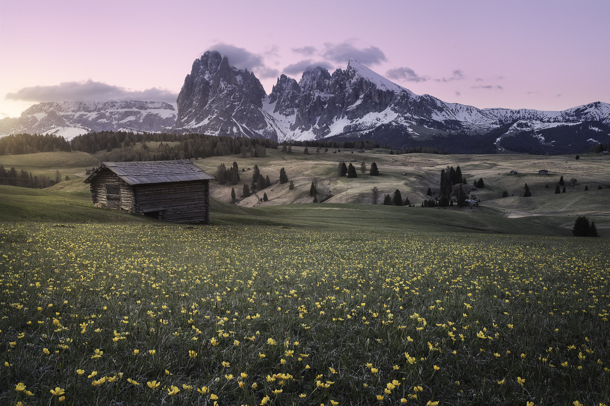 05272730052021150 ©SimonePaleari