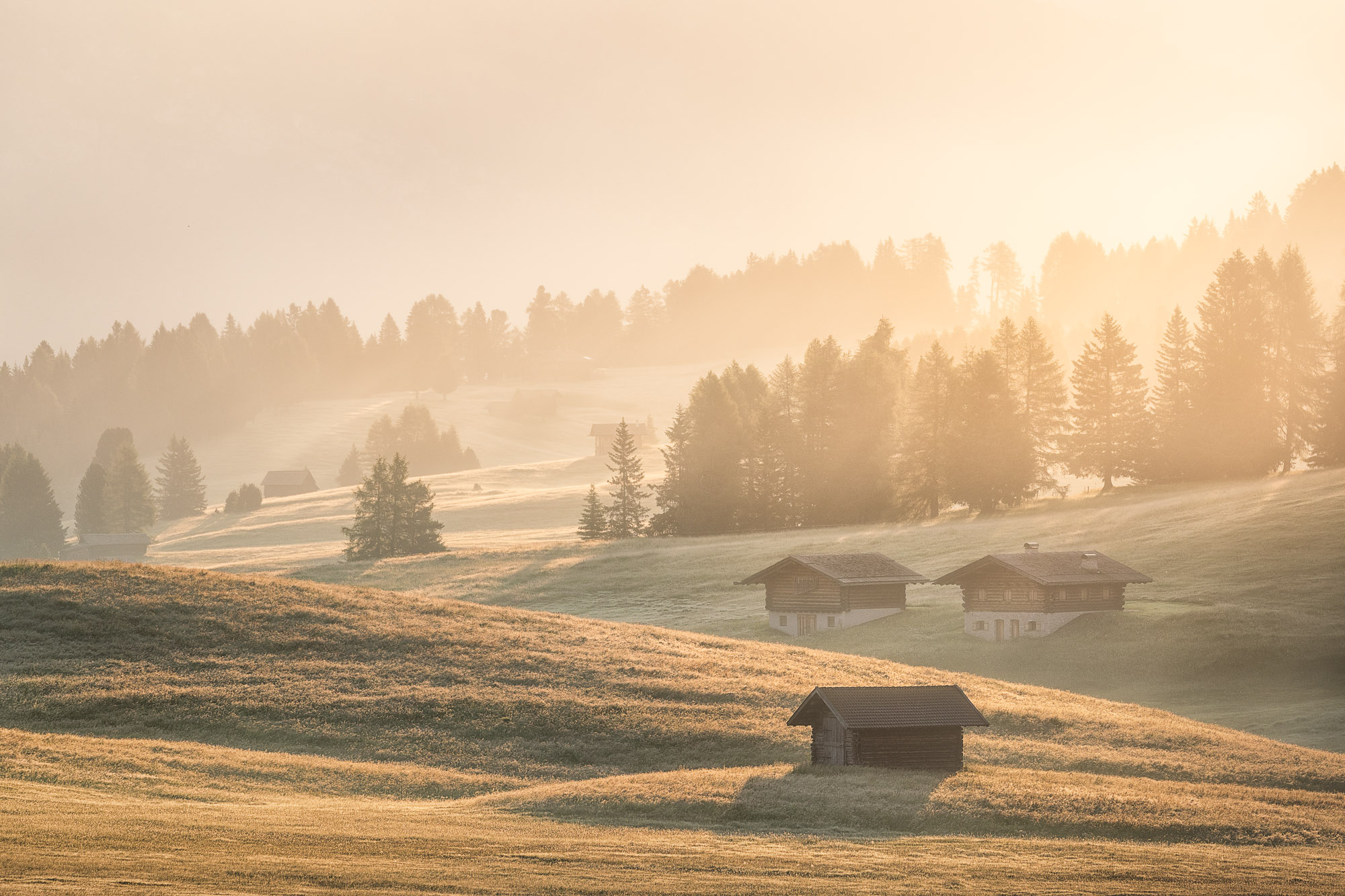 06074801072022182 ©SimonePaleari