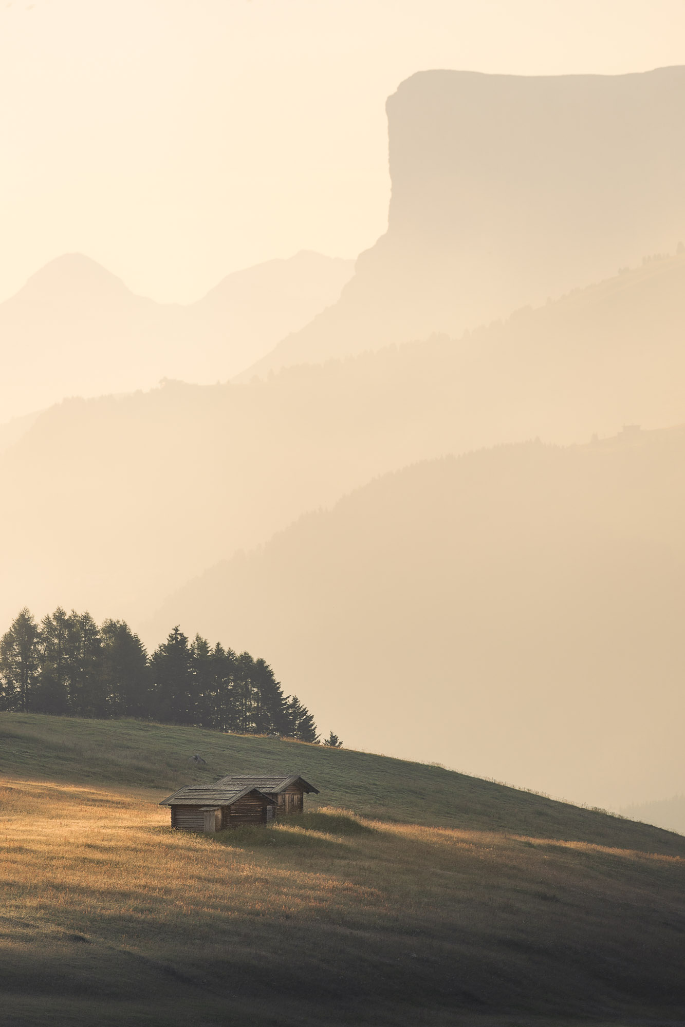 06164401072022182 ©SimonePaleari