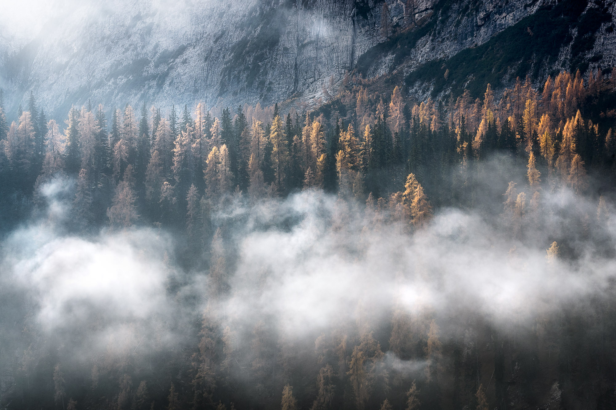 10584301112021305 ©SimonePaleari