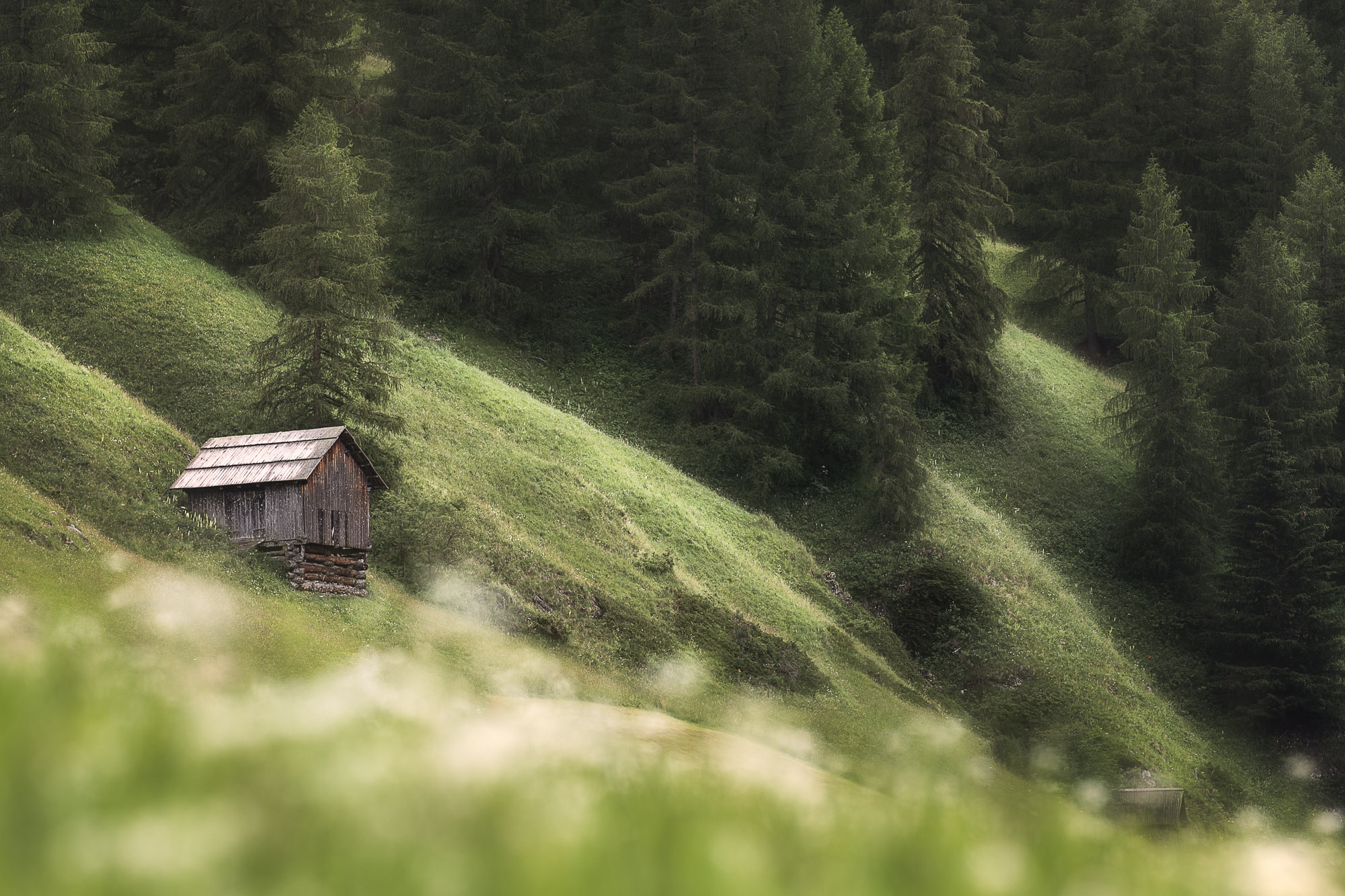 12152814072021195 ©SimonePaleari