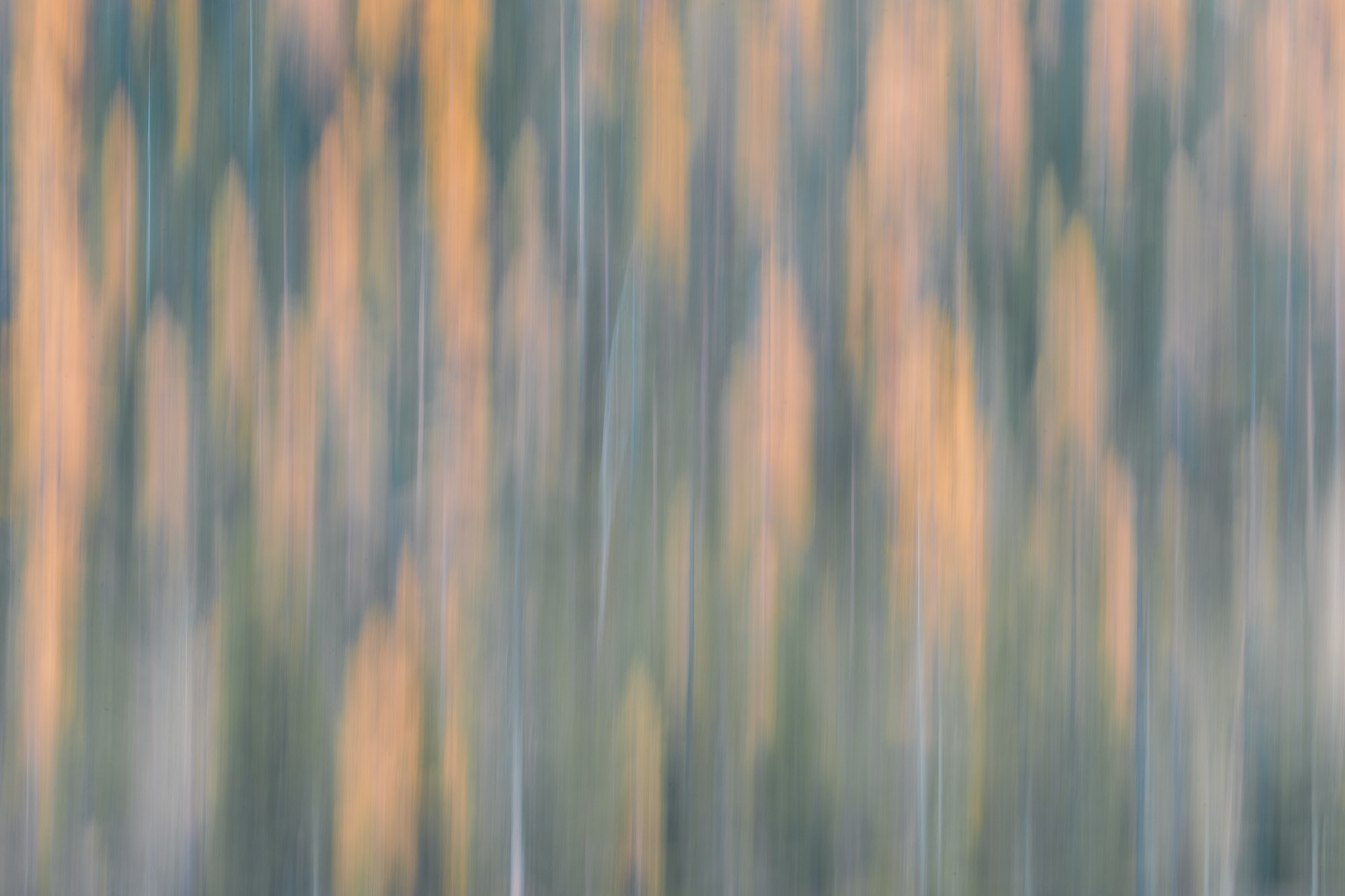 12330401112021305 ©SimonePaleari