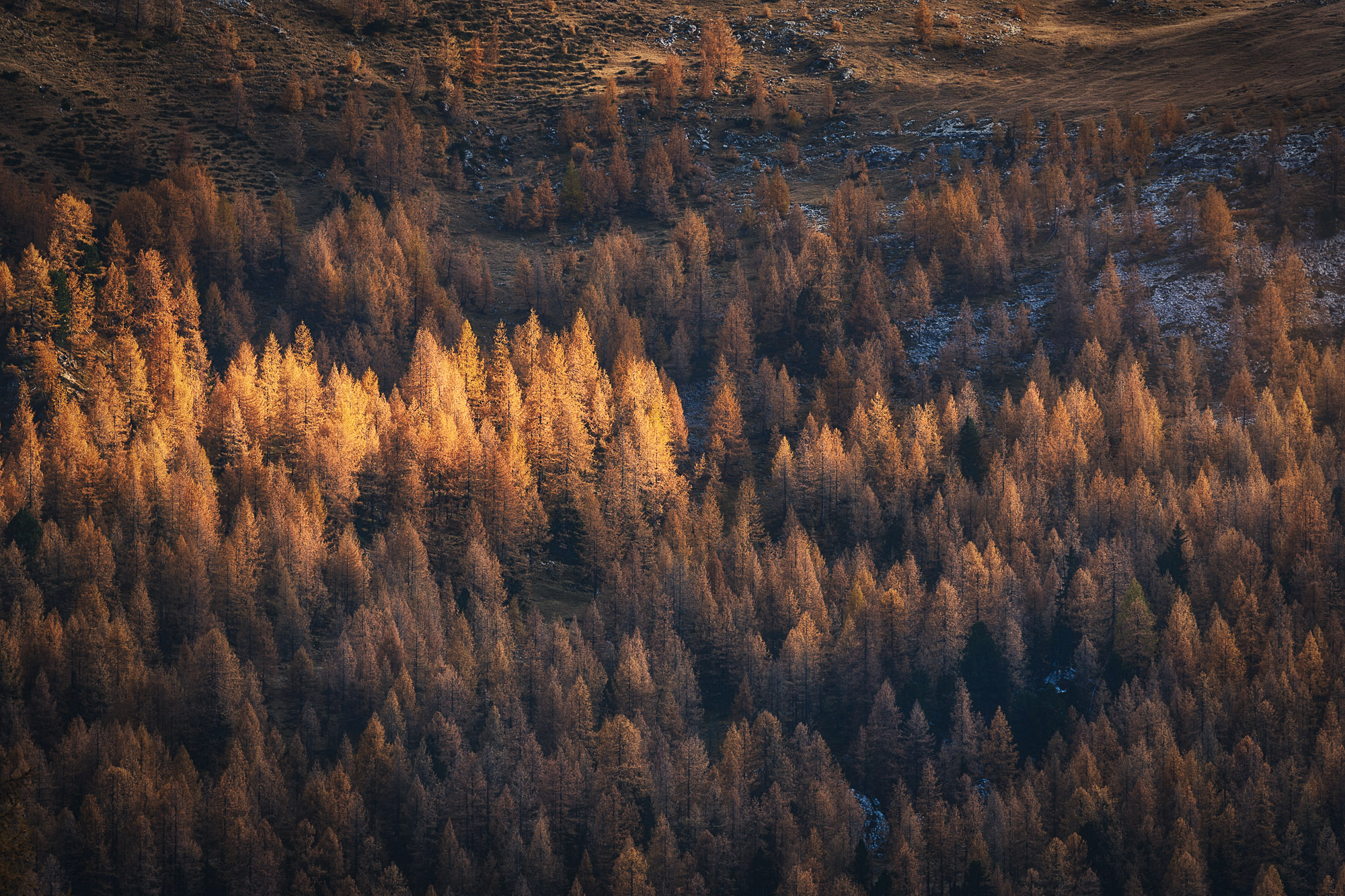 15254331102021304 ©SimonePaleari