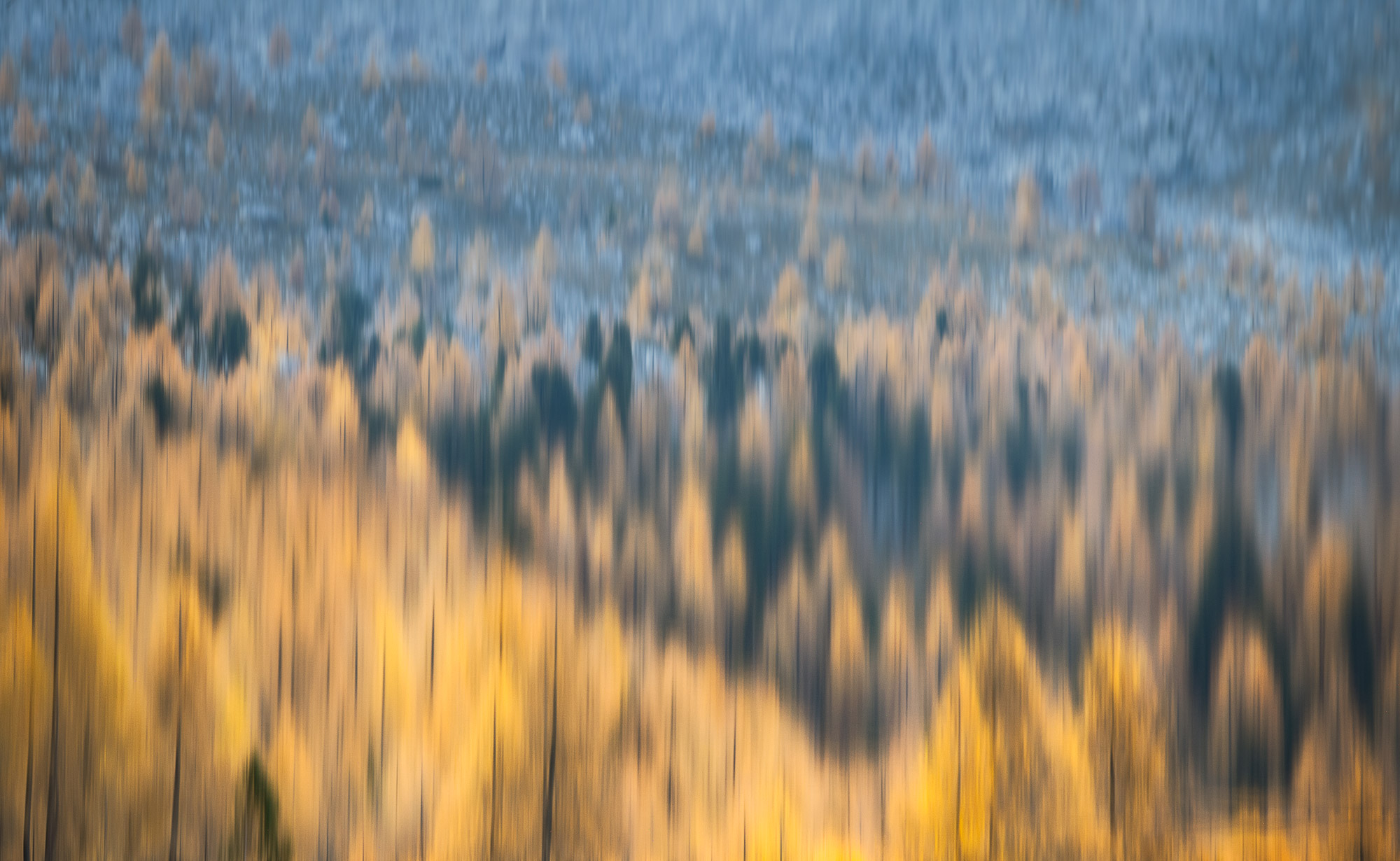 15425331102021304 ©SimonePaleari