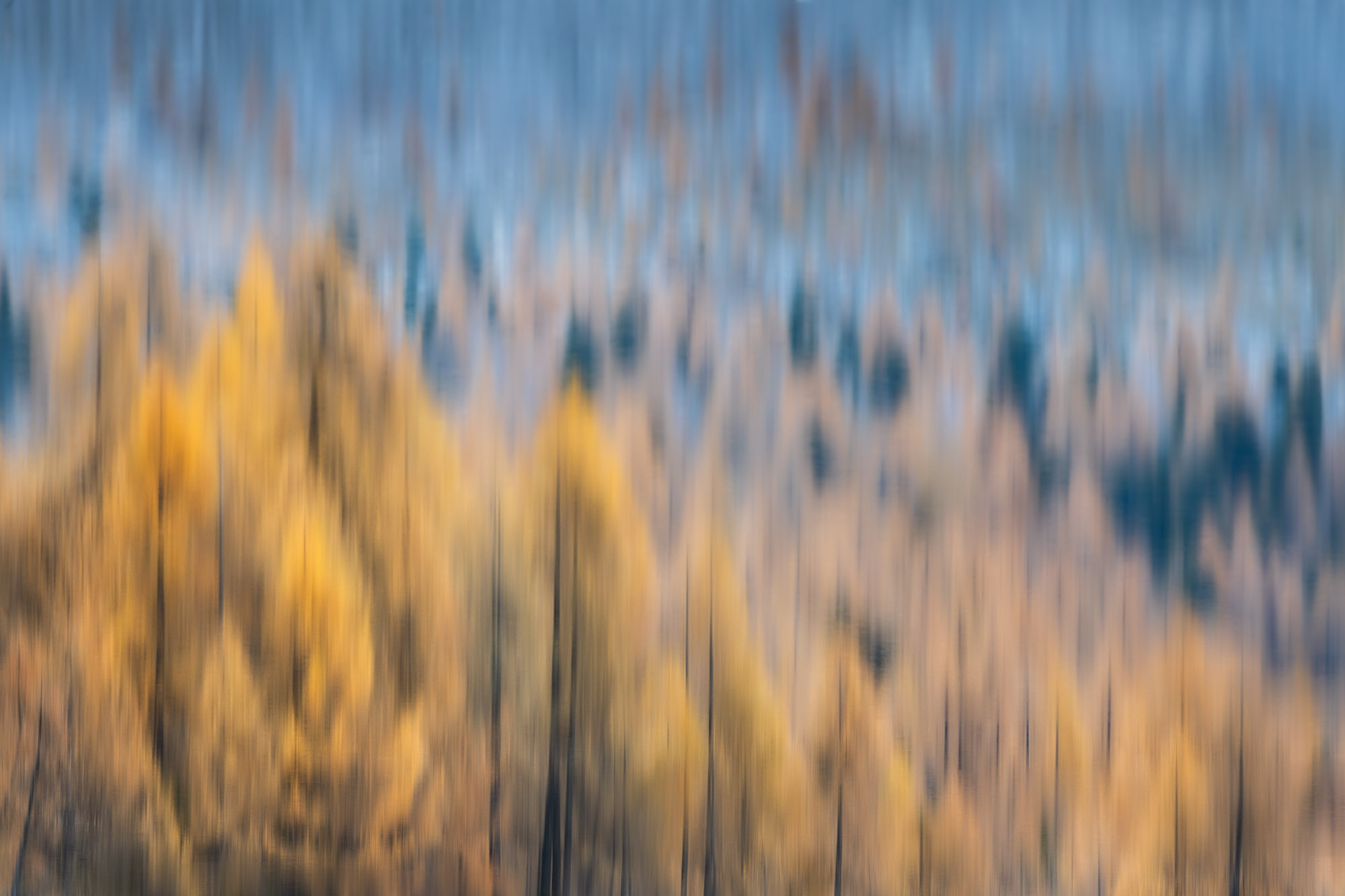 15460031102021304 ©SimonePaleari