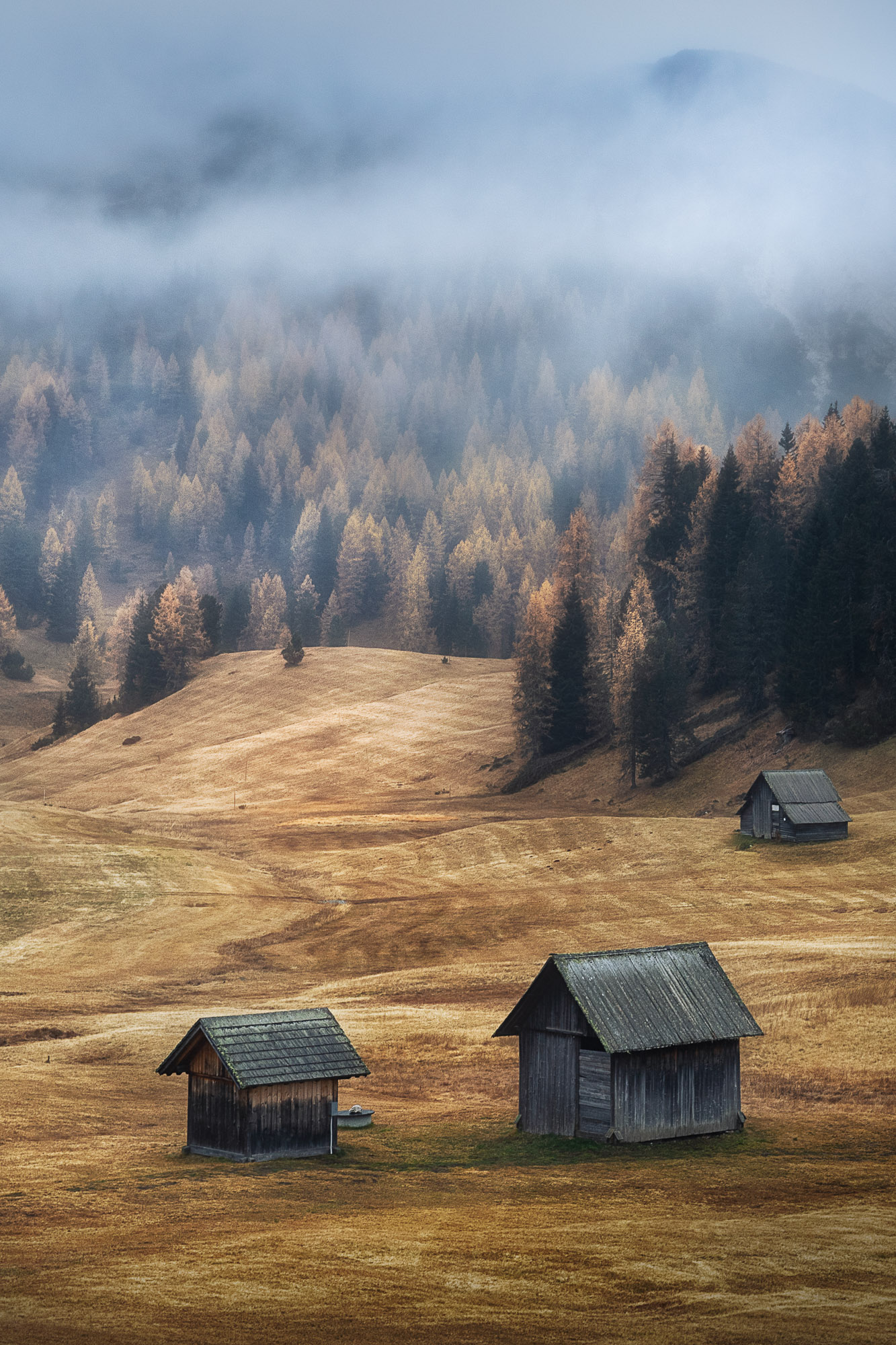 16100901112021305 ©SimonePaleari