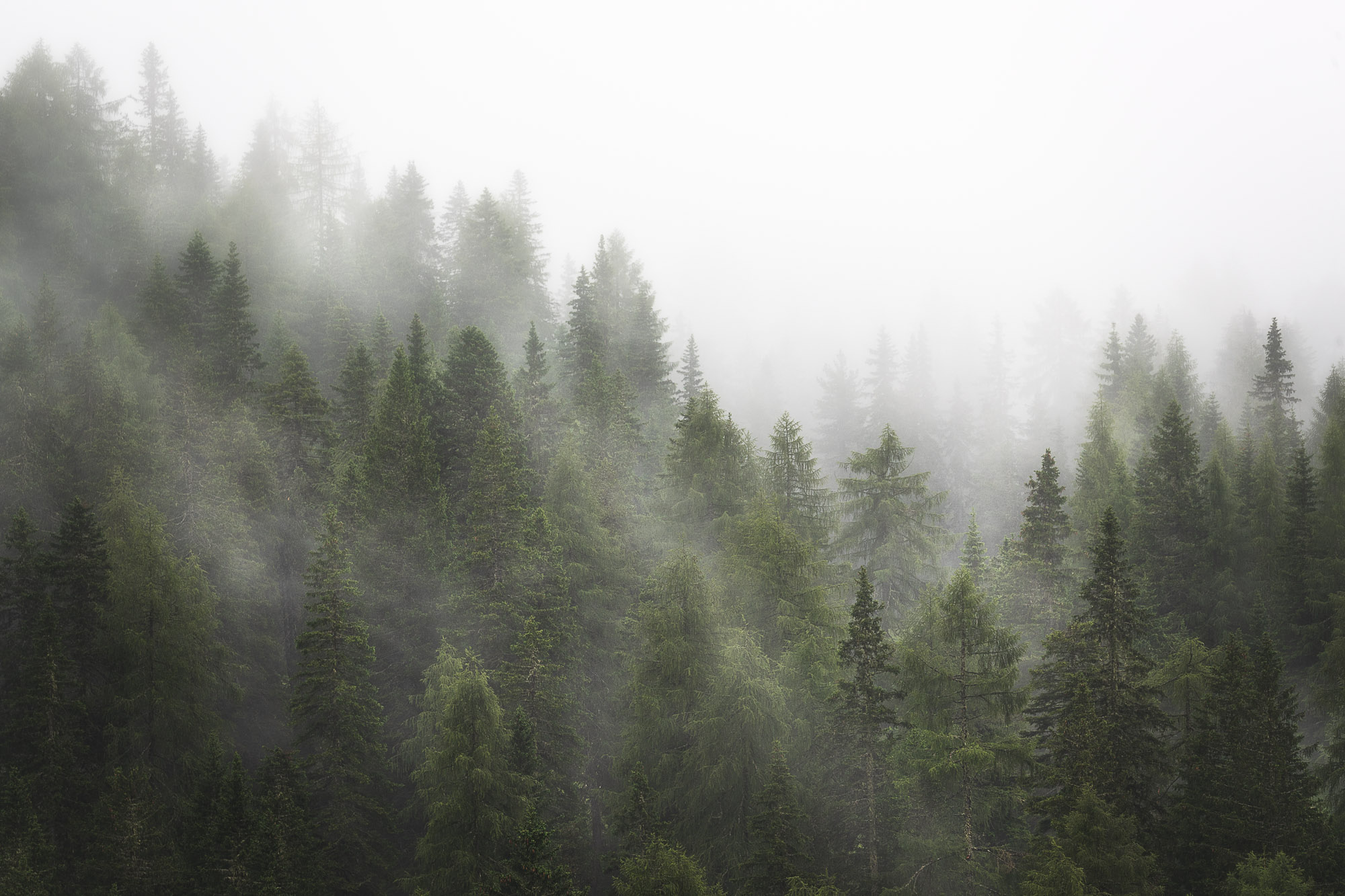 17381914072021195 ©SimonePaleari