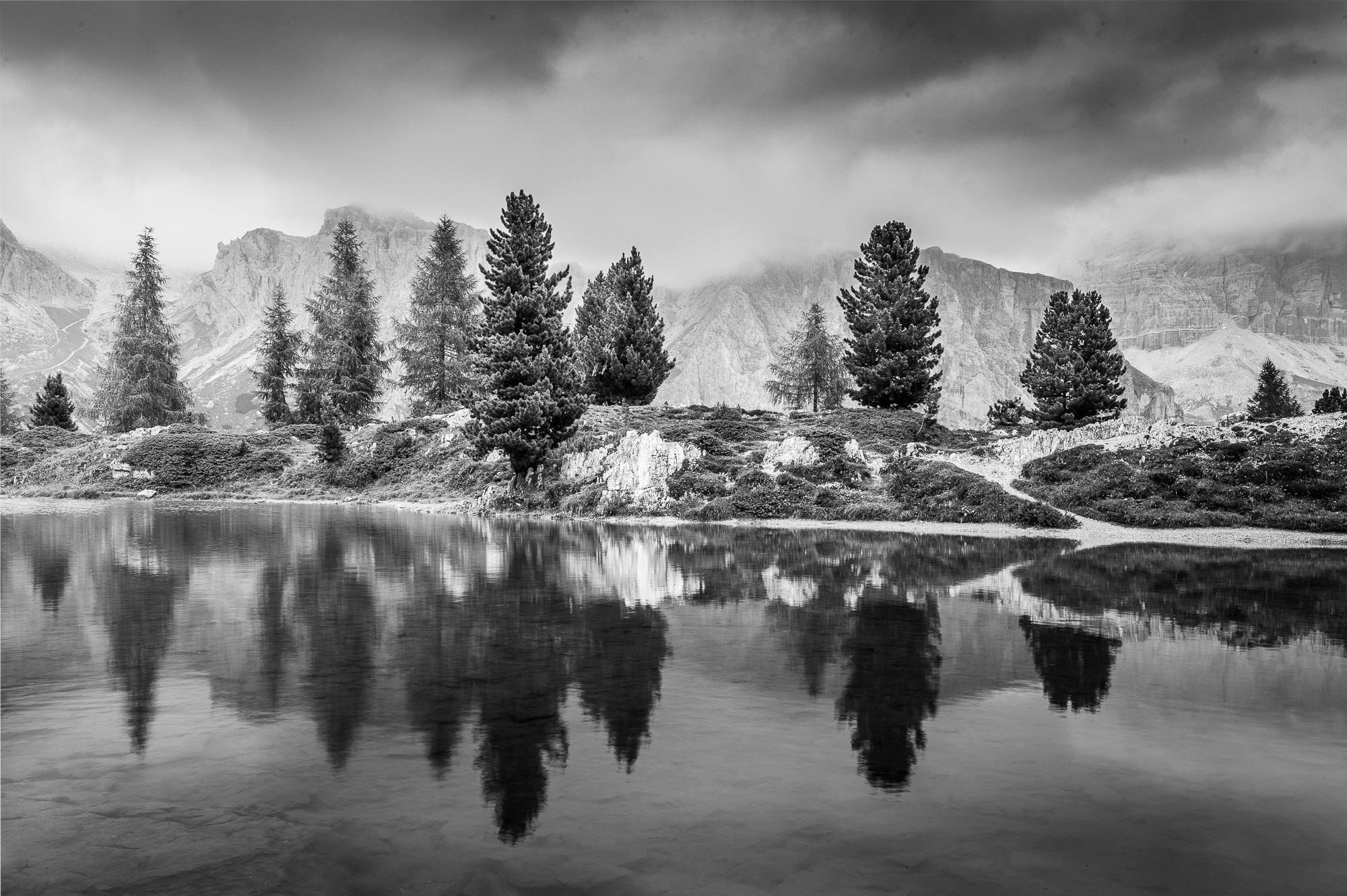 17401010082020223 ©SimonePaleari