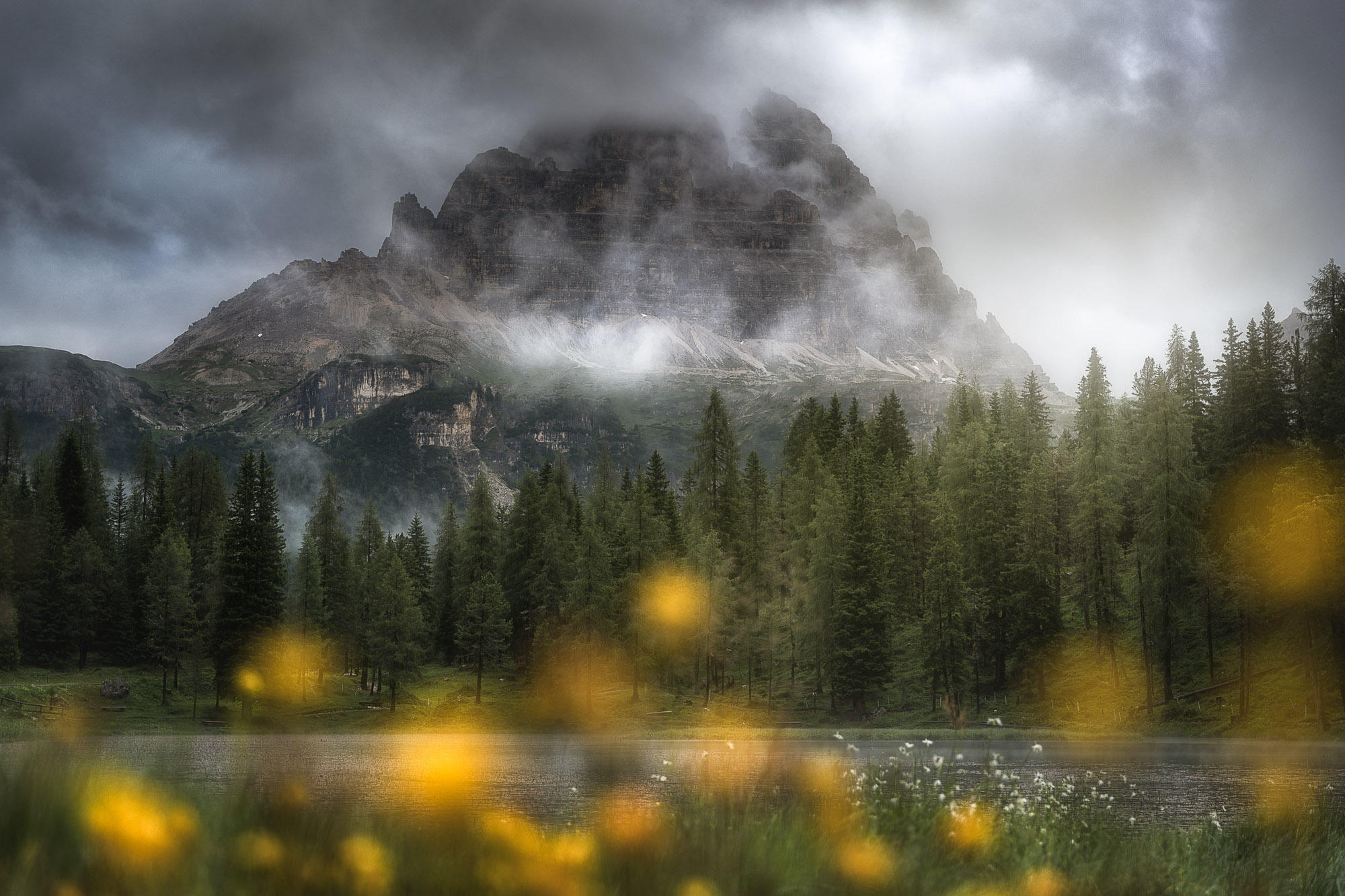 18112614072021195 ©SimonePaleari