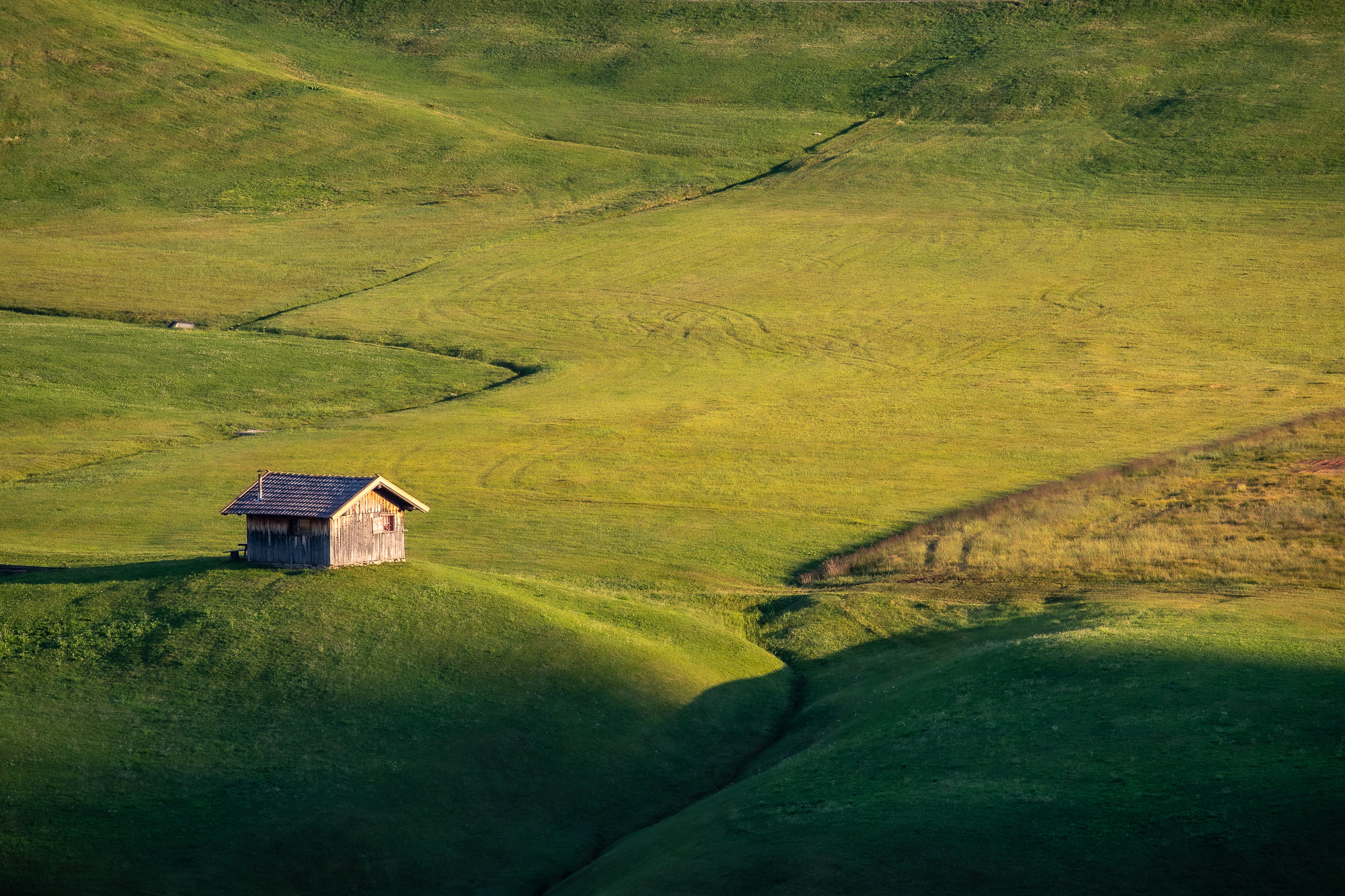 18392208082020221 ©SimonePaleari