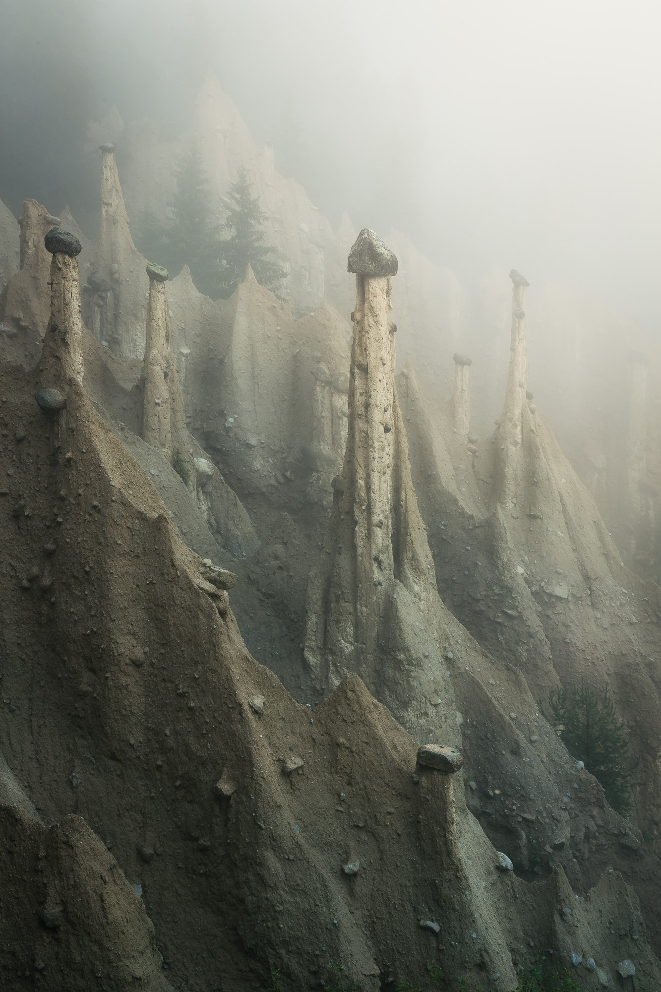 18394411072020193 ©SimonePaleari