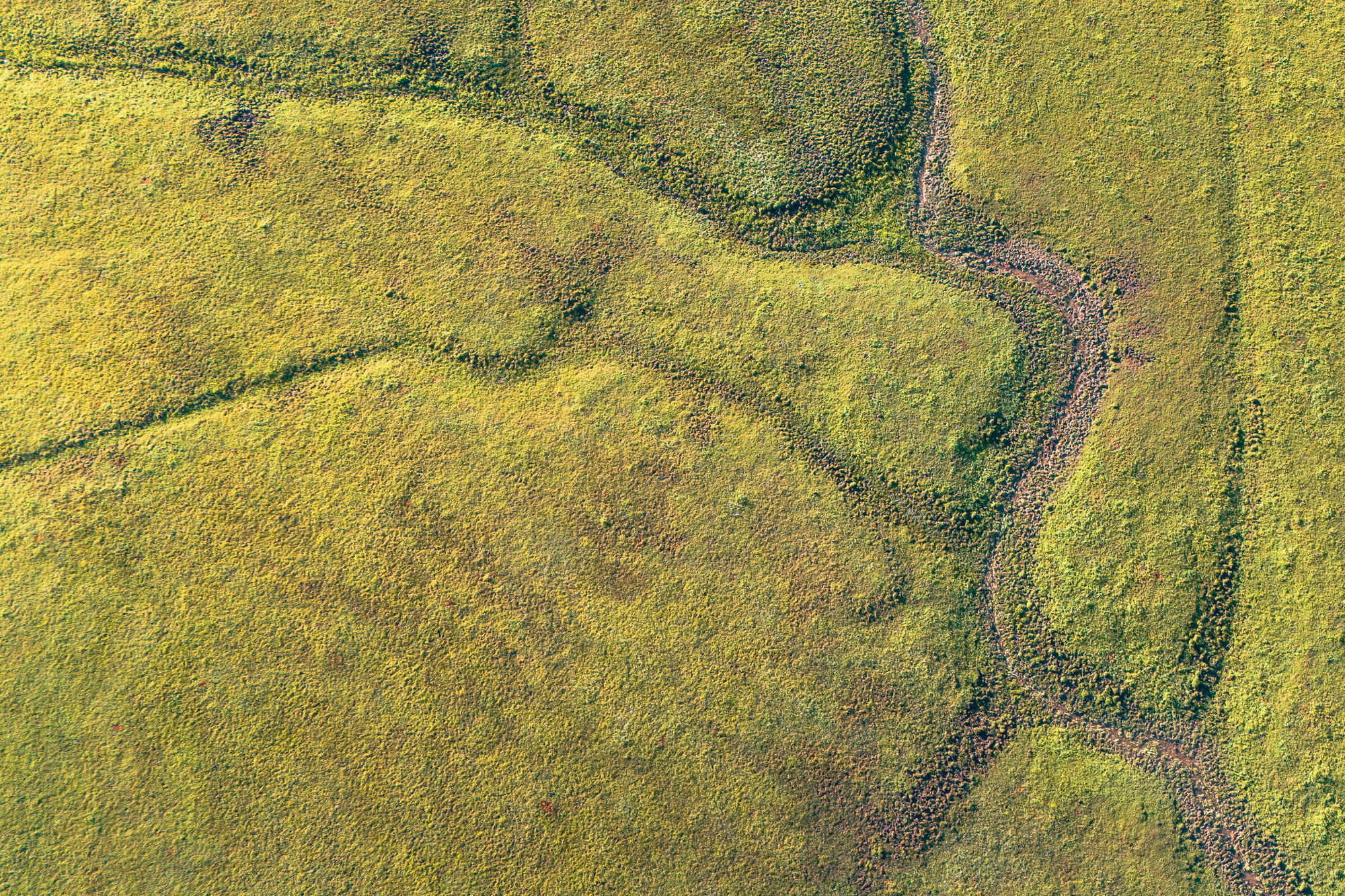 07220102072024184 ©SimonePaleari