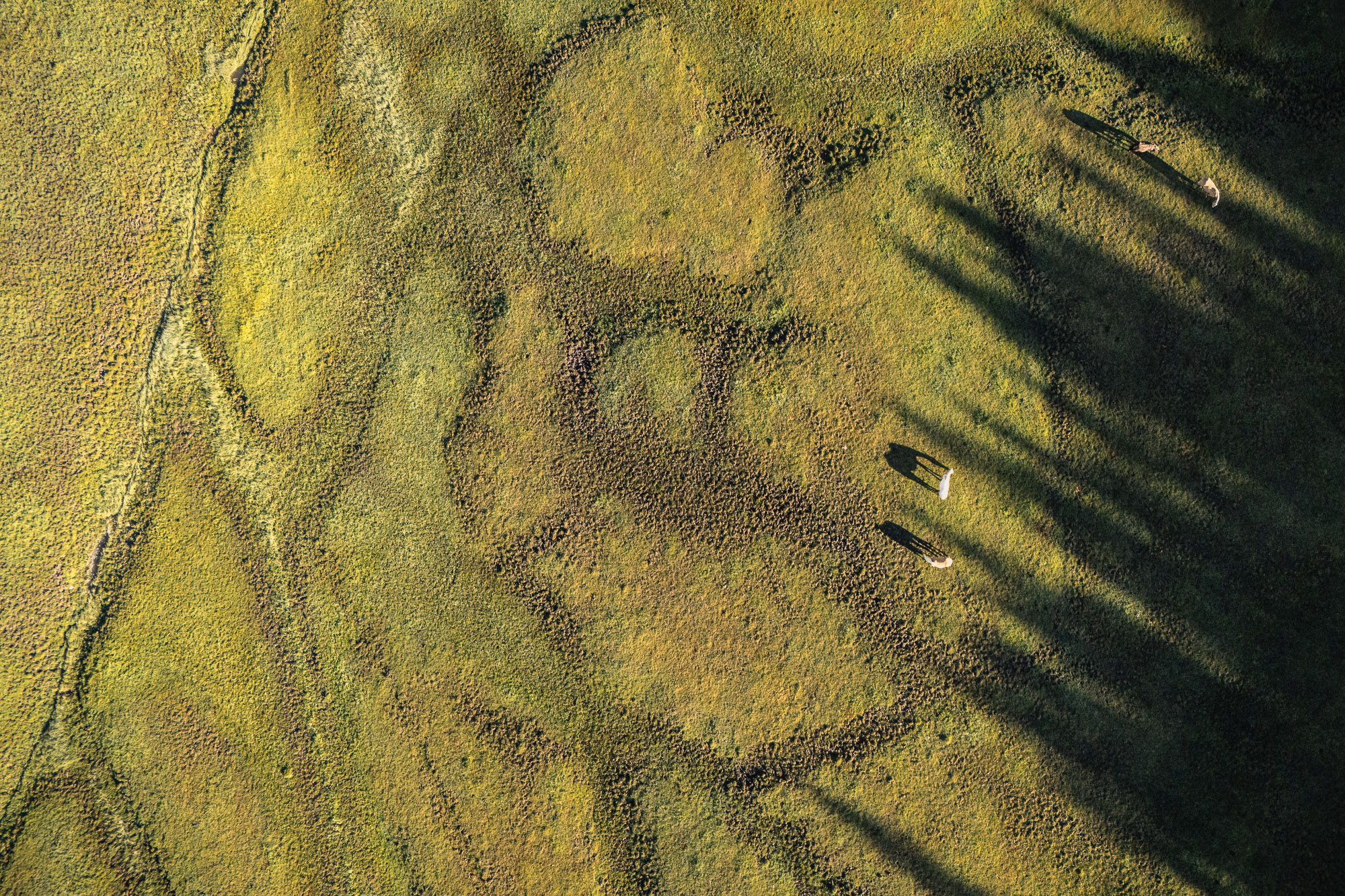 07290102072024184 ©SimonePaleari