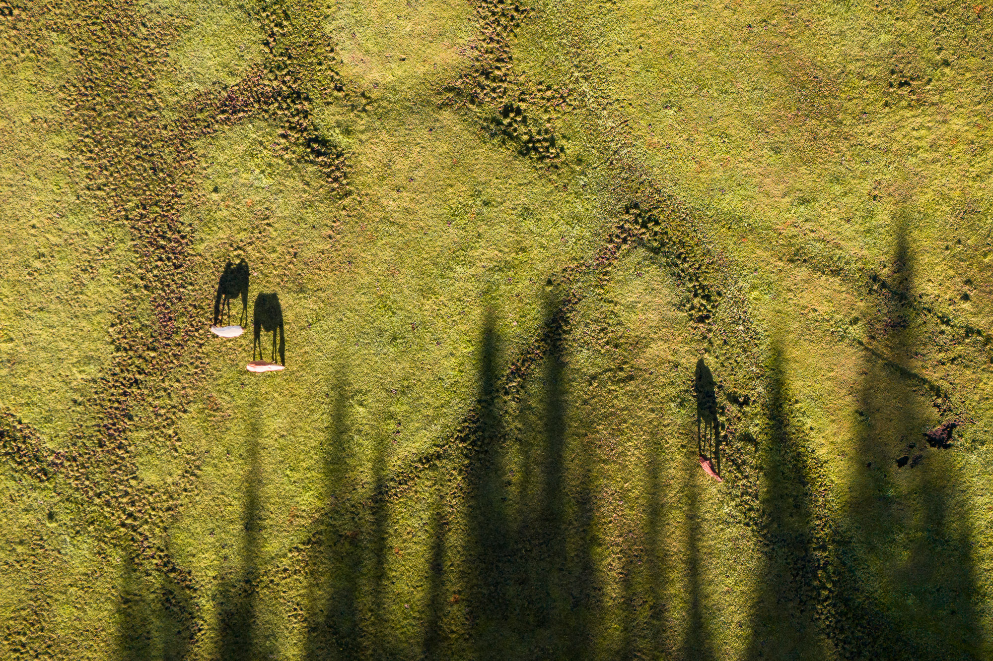 07323202072024184 ©SimonePaleari