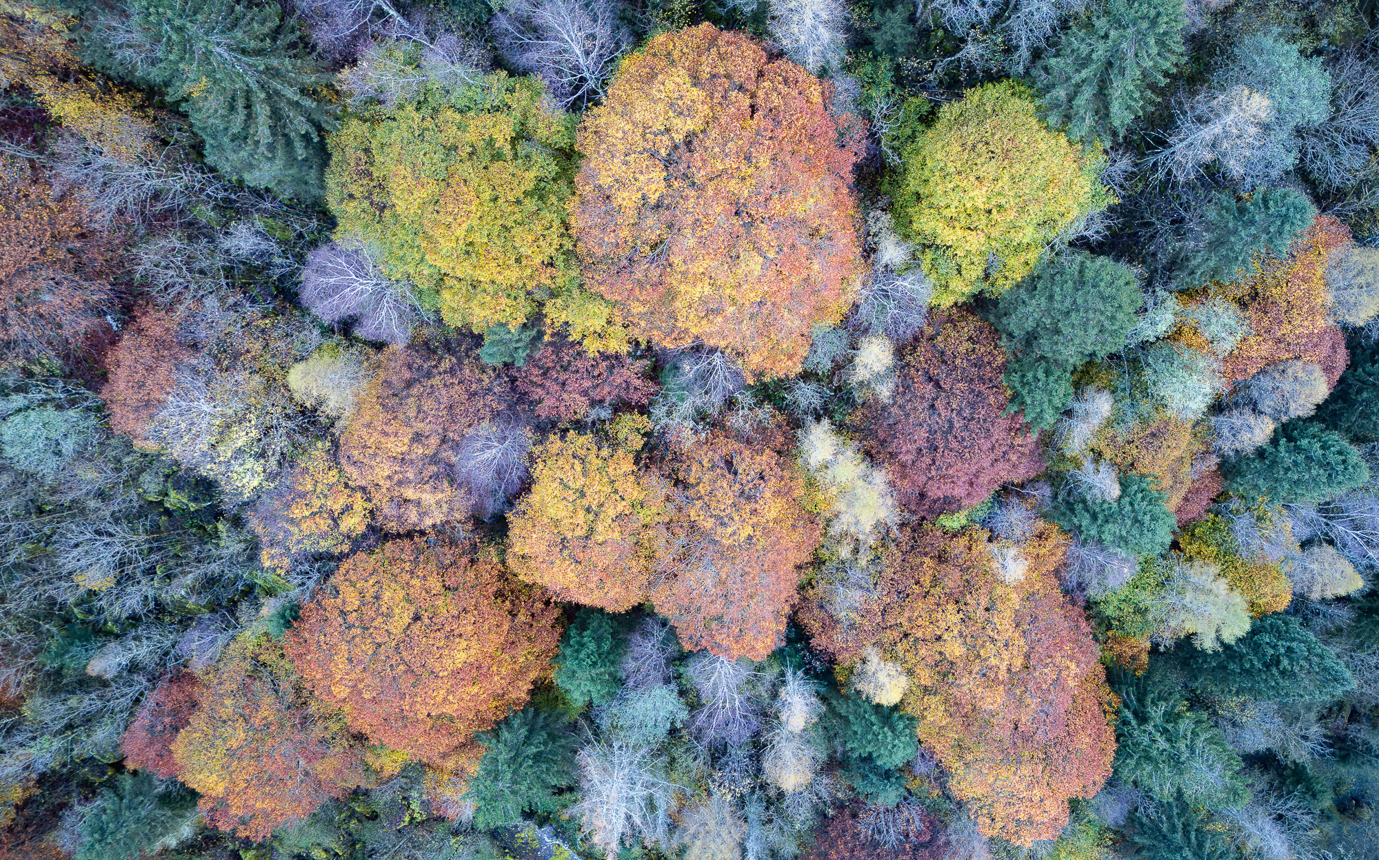 08421930102024304 ©SimonePaleari