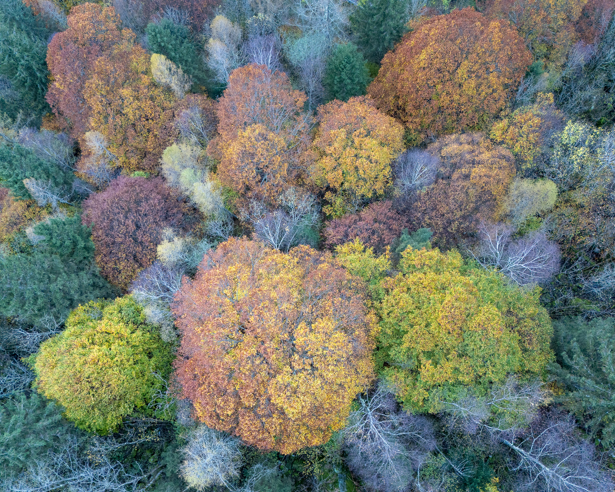 08433030102024304 ©SimonePaleari