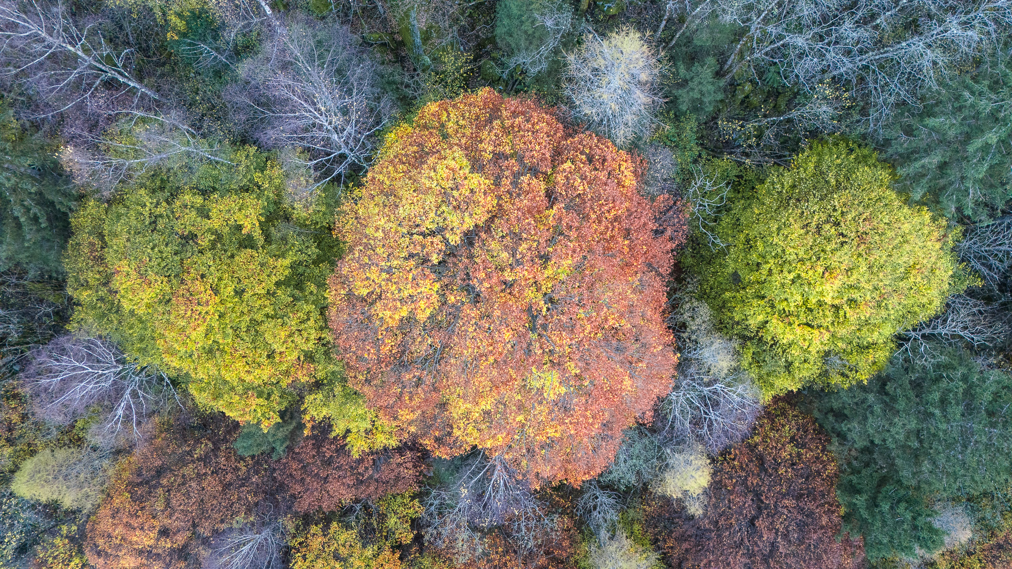 09030630102024304 2©SimonePaleari