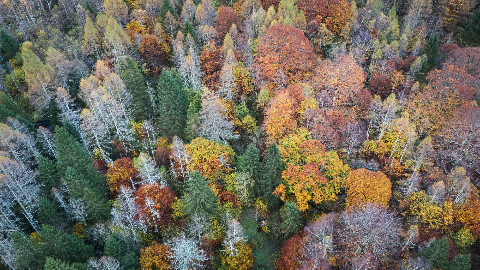 09150430102024304 ©SimonePaleari