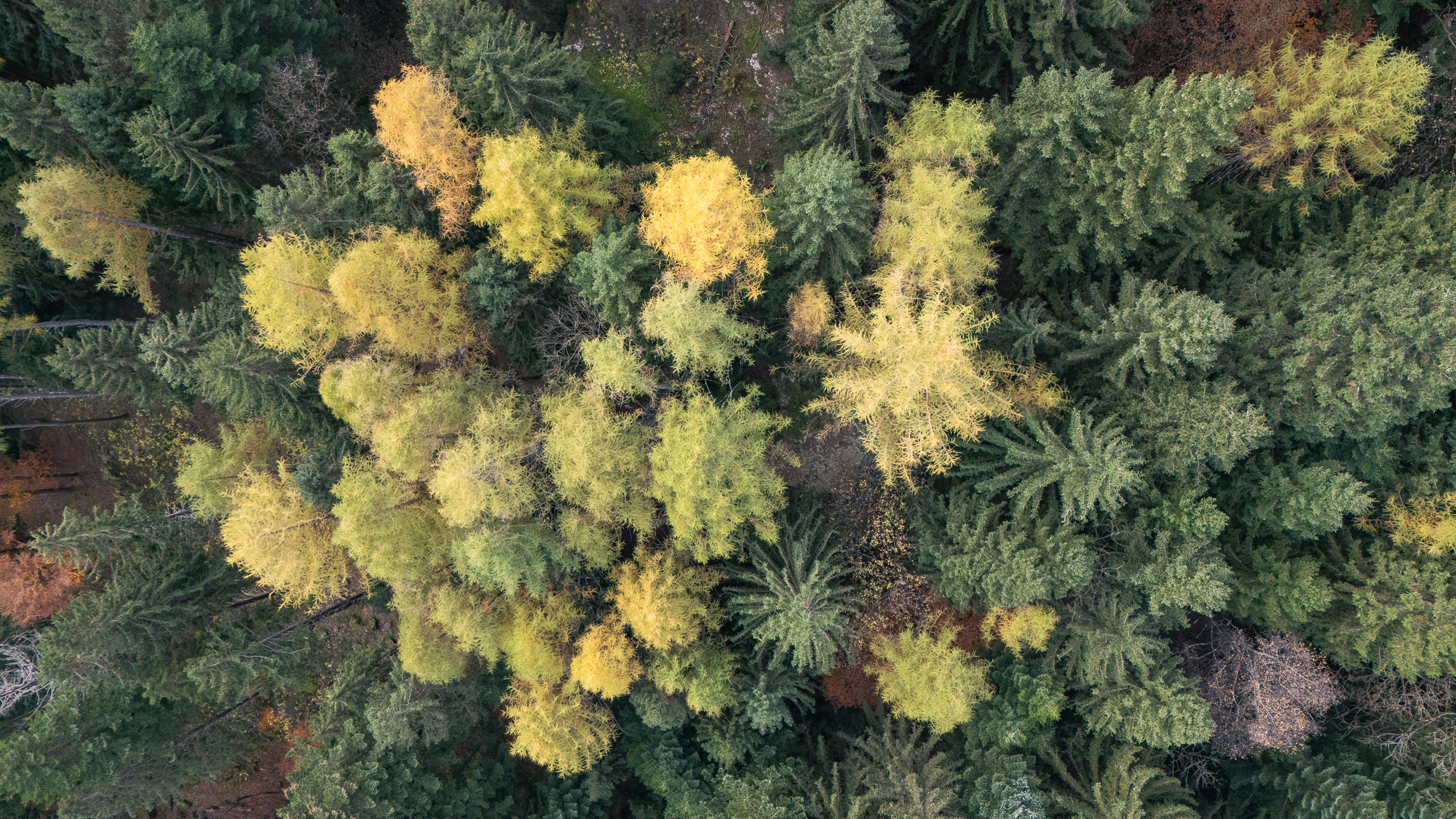 10321205112024310 ©SimonePaleari