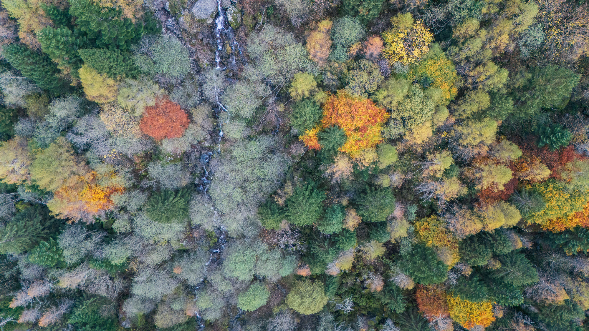 13043630102024304 ©SimonePaleari