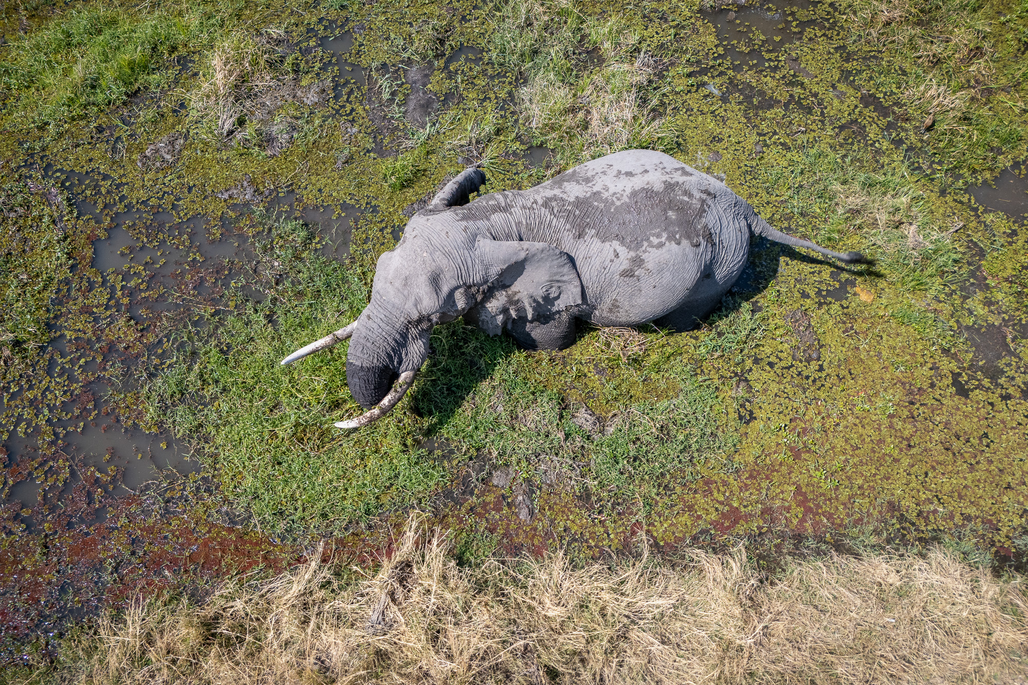 13202715082025227 ©SimonePaleari