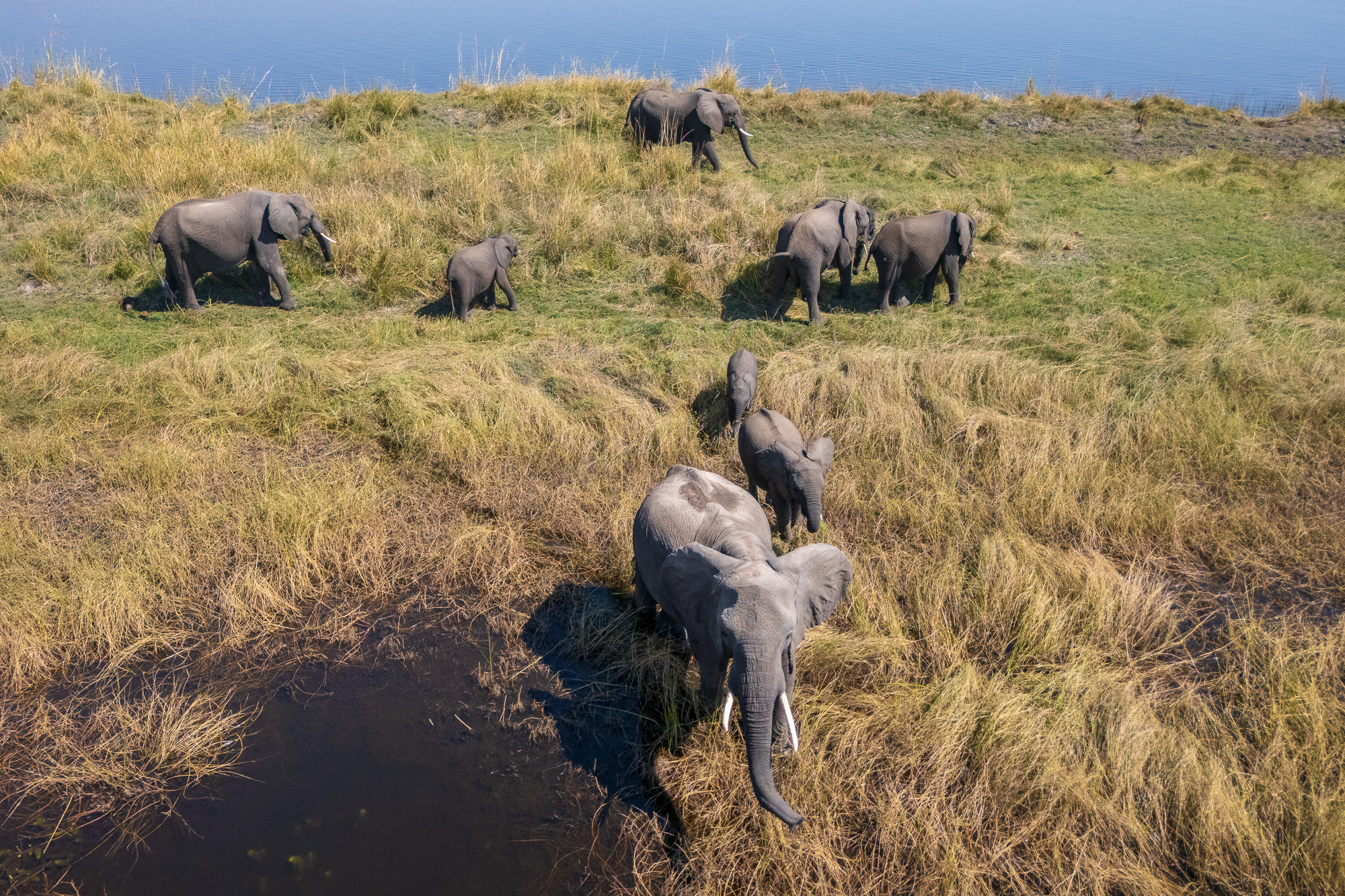 13421310082025222 ©SimonePaleari