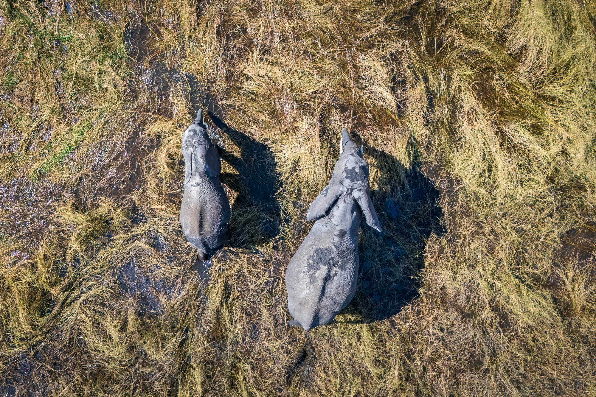 13532010082025222 ©SimonePaleari