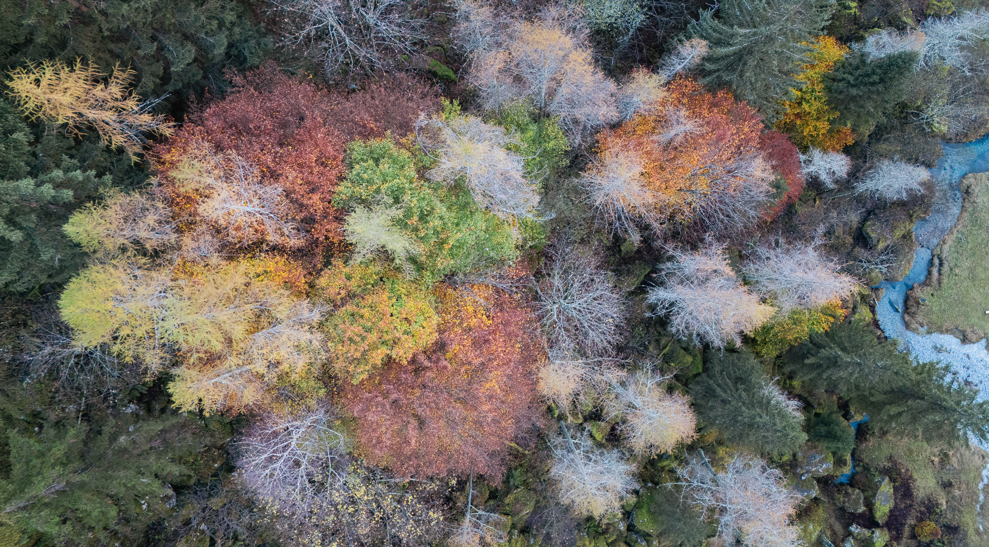 14010130102024304 ©SimonePaleari