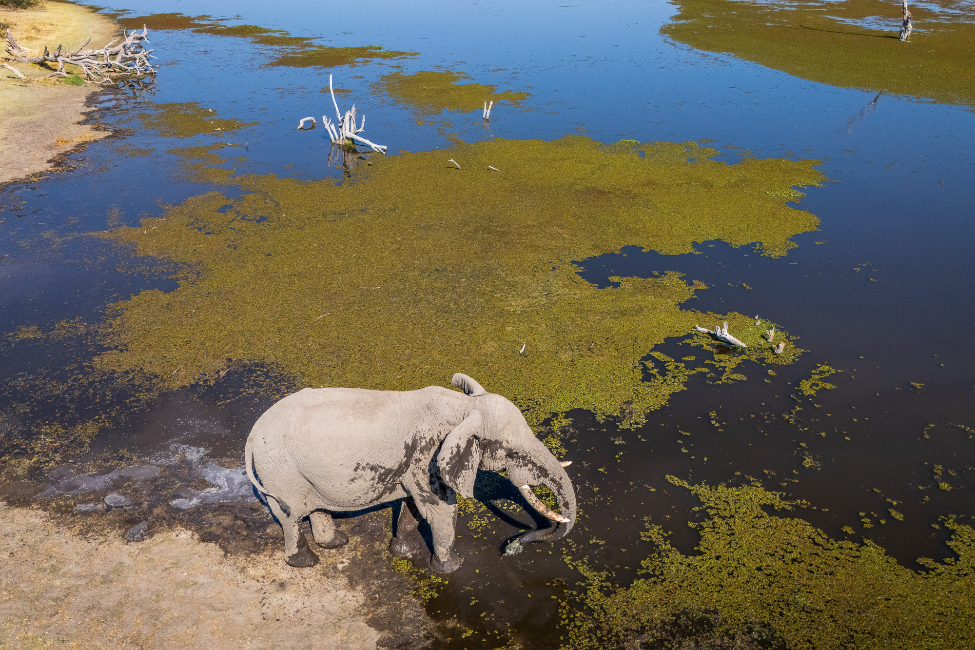 14581915082025227 ©SimonePaleari