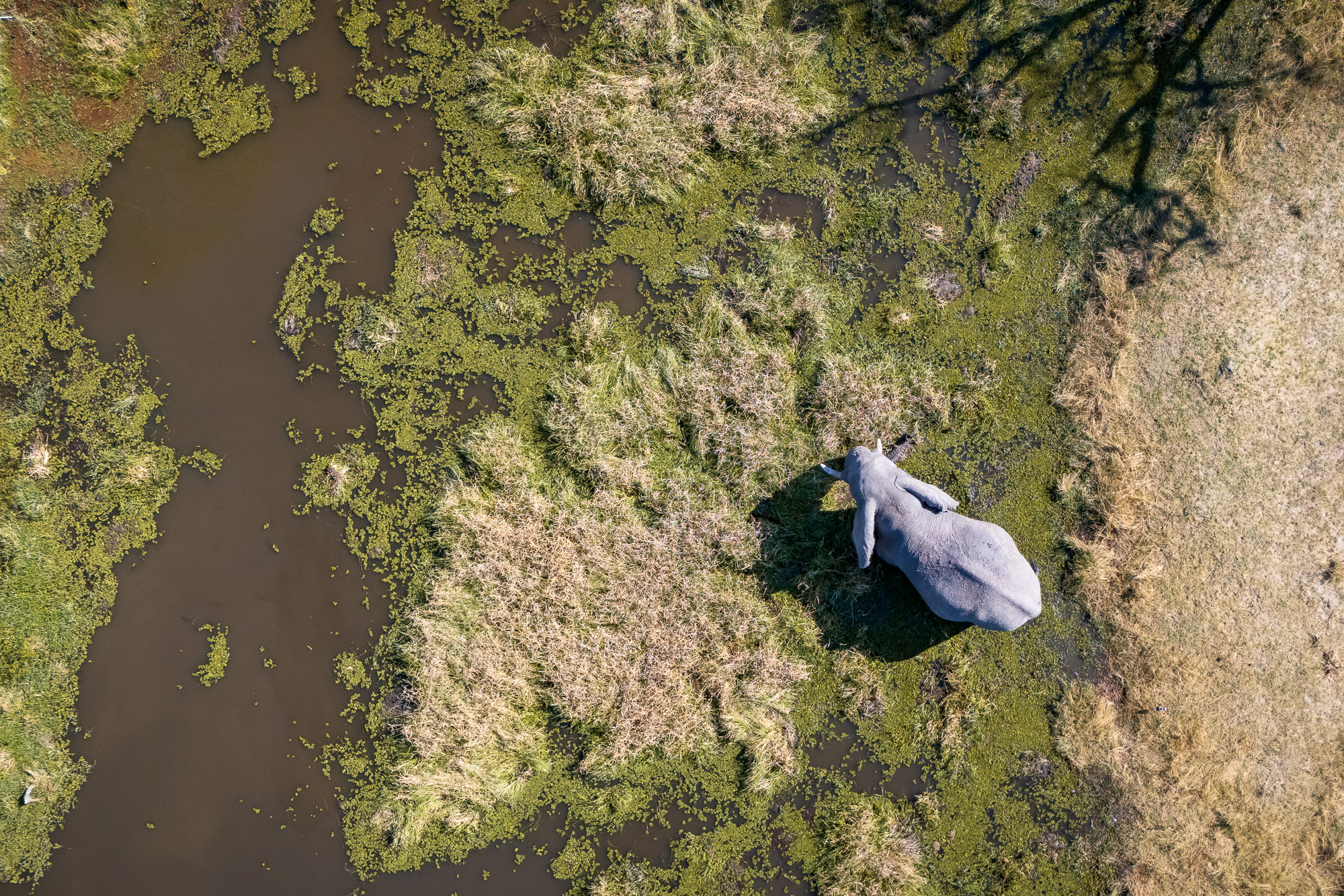 14593113082025225 ©SimonePaleari