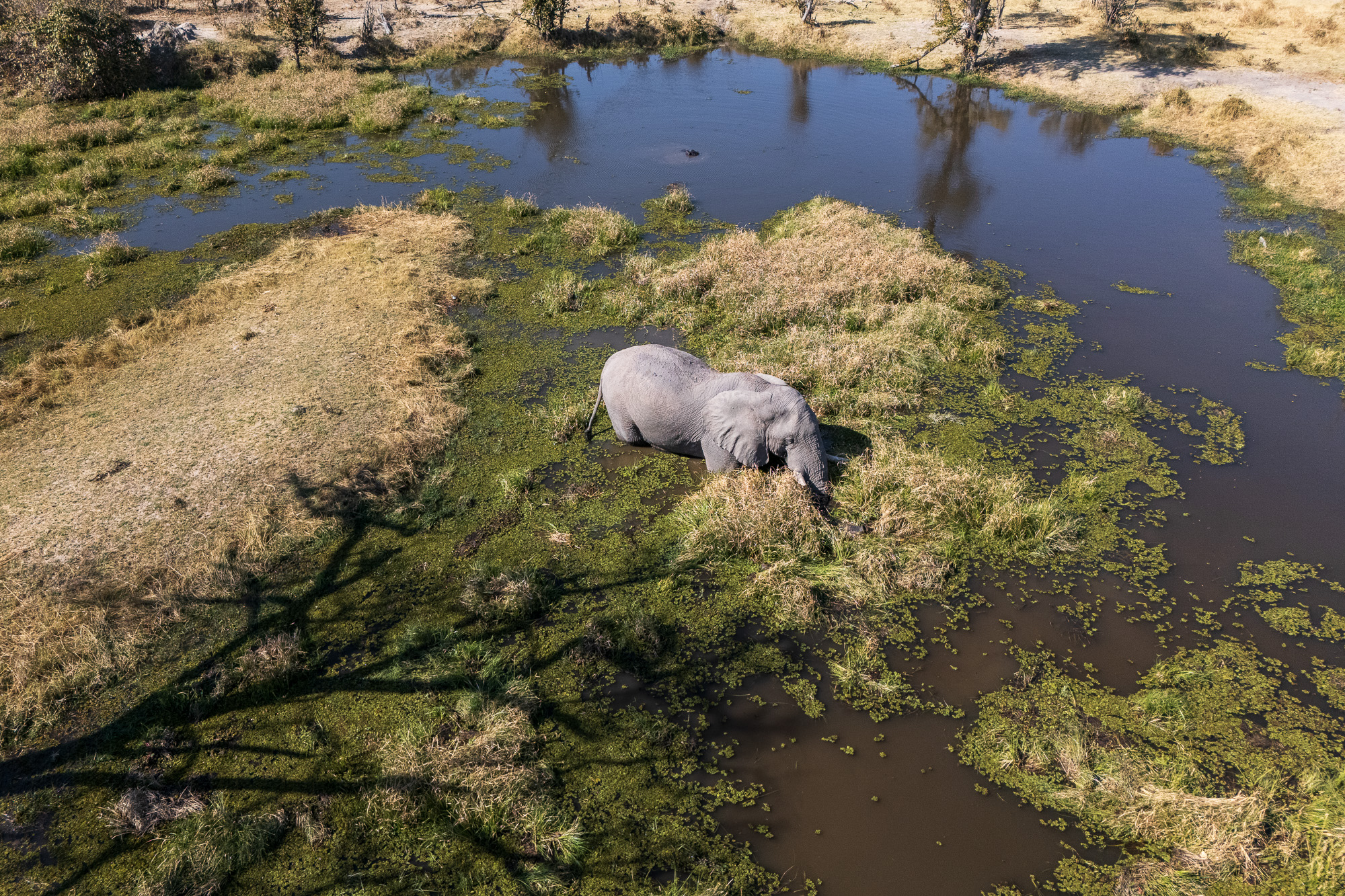 15031513082025225 ©SimonePaleari