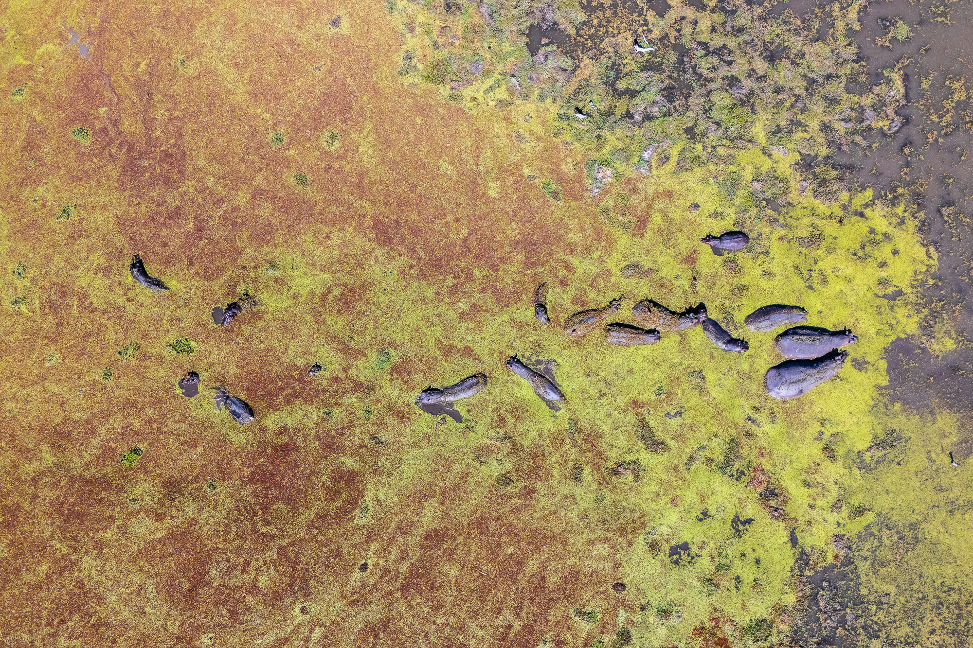 15060114082025226 ©SimonePaleari