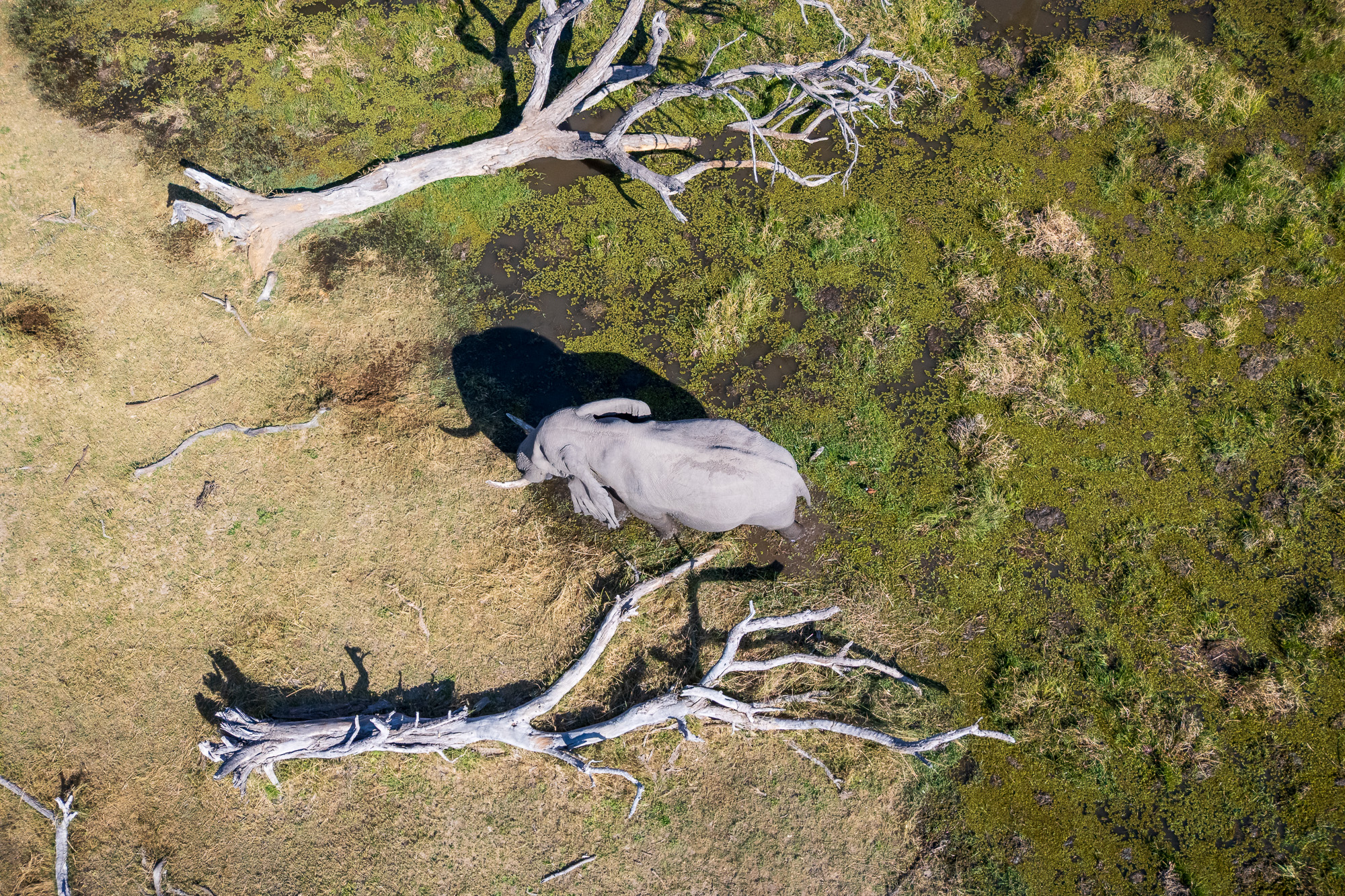 15194213082025225 ©SimonePaleari