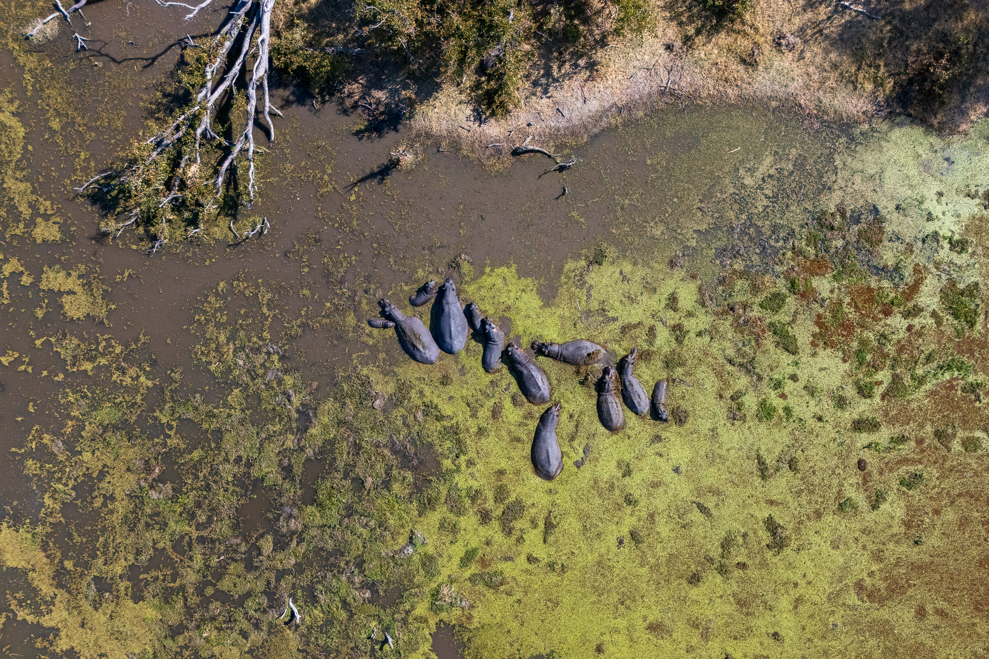 15244413082025225 ©SimonePaleari