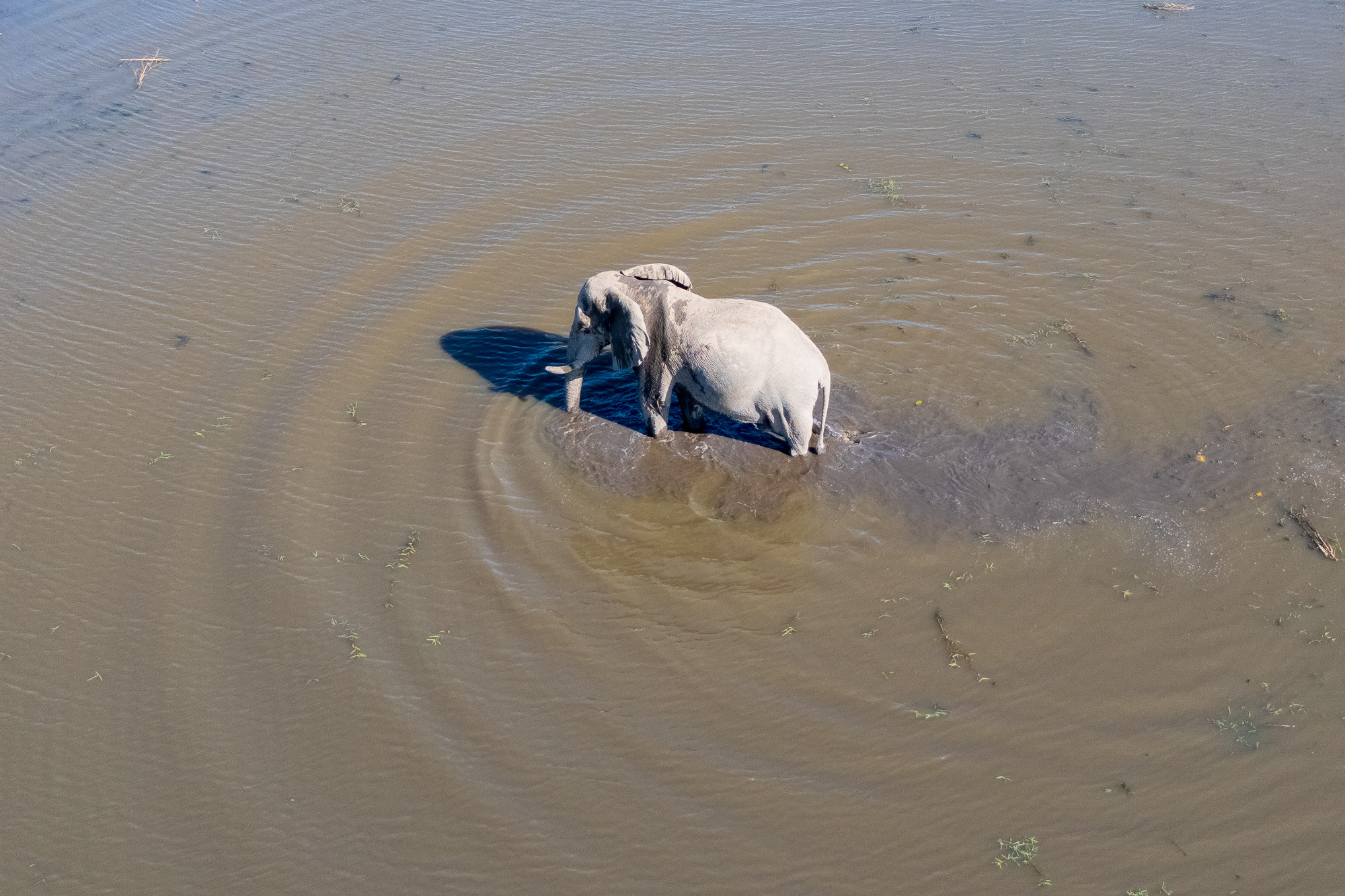 15294214082025226 ©SimonePaleari