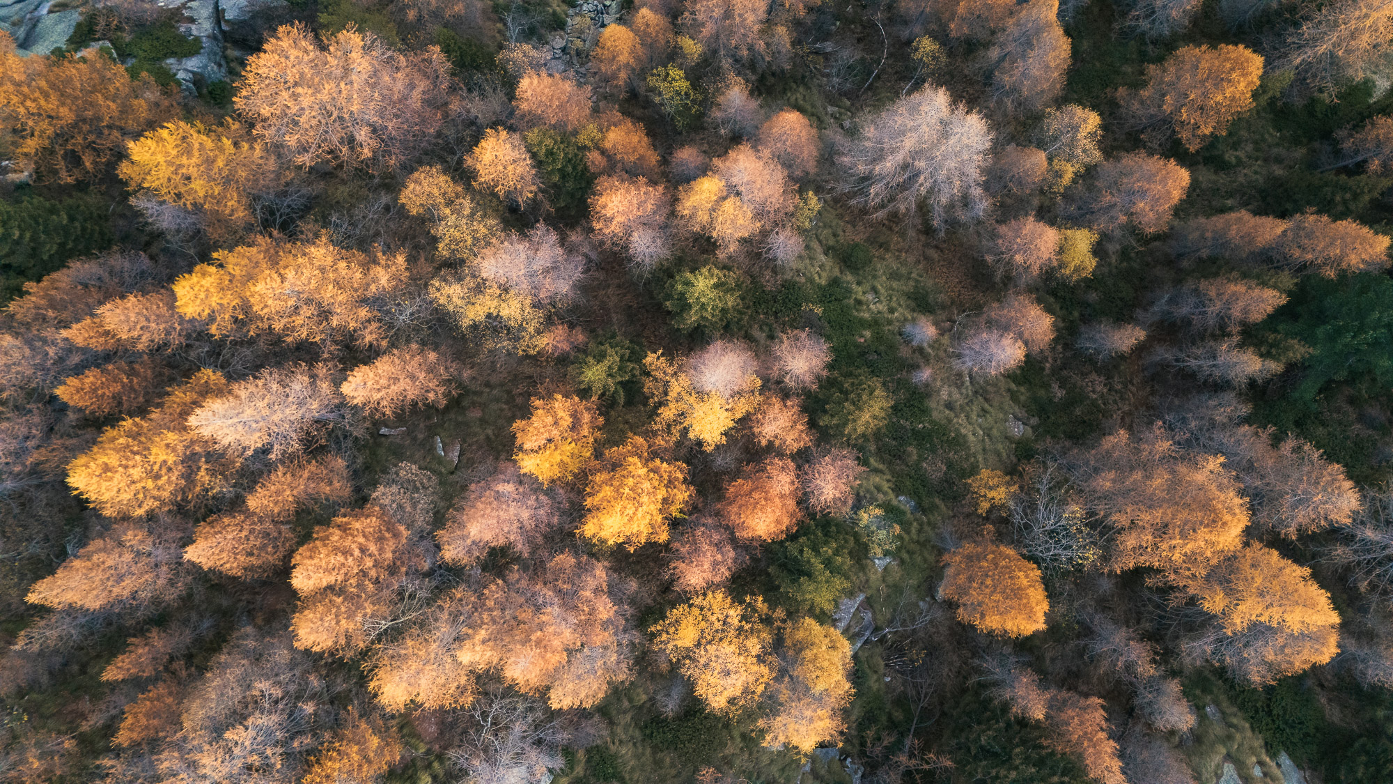 17185330102024304 ©SimonePaleari