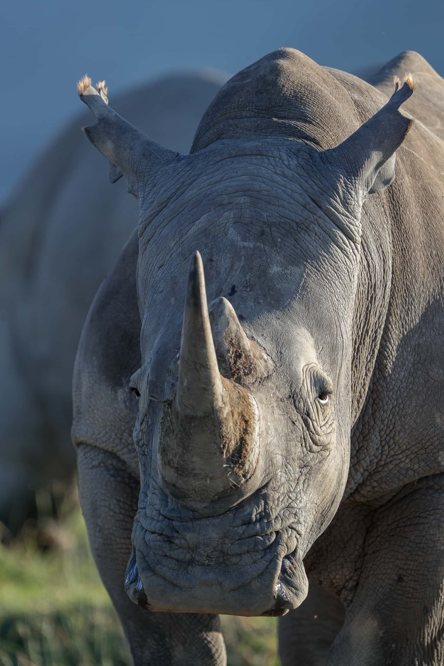 07214312082018224 ©SimonePaleari