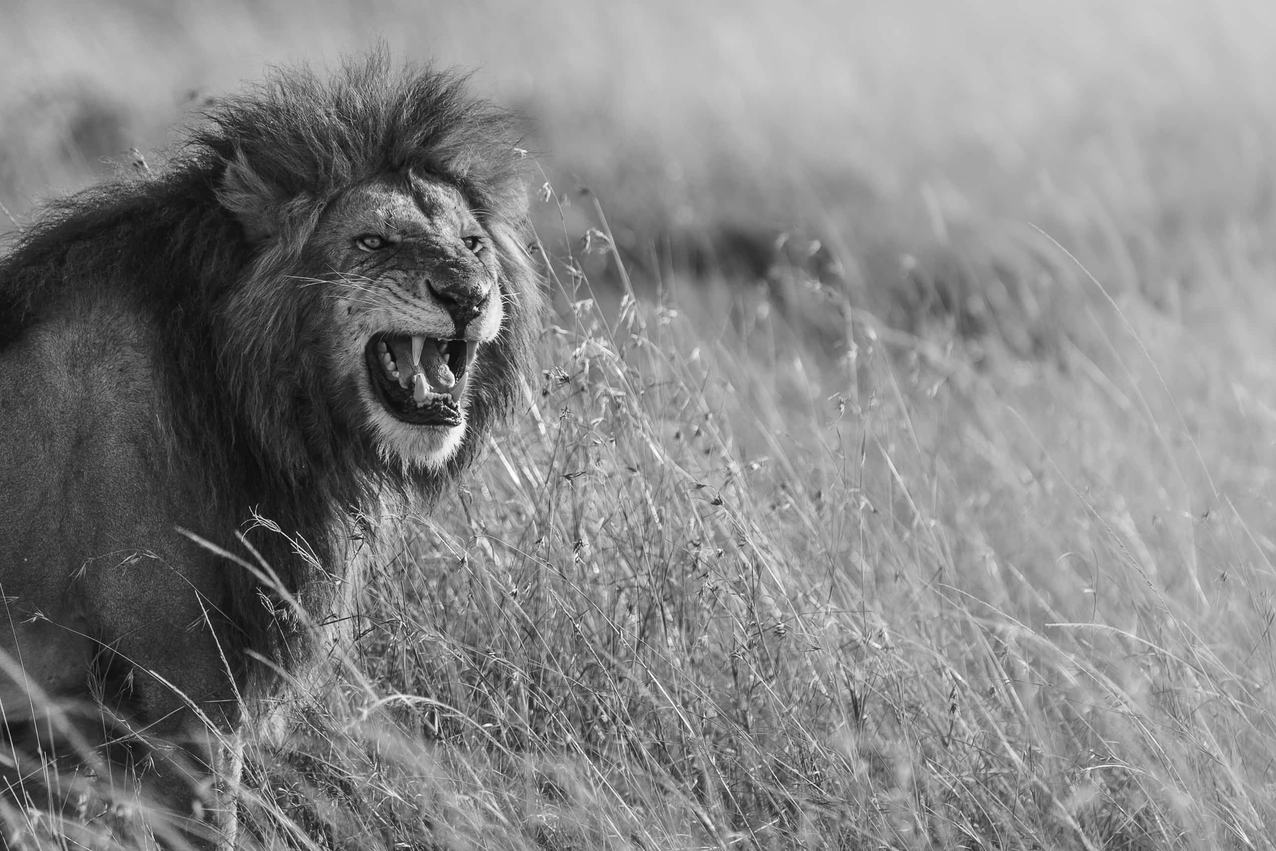 08112513082018225 ©SimonePaleari