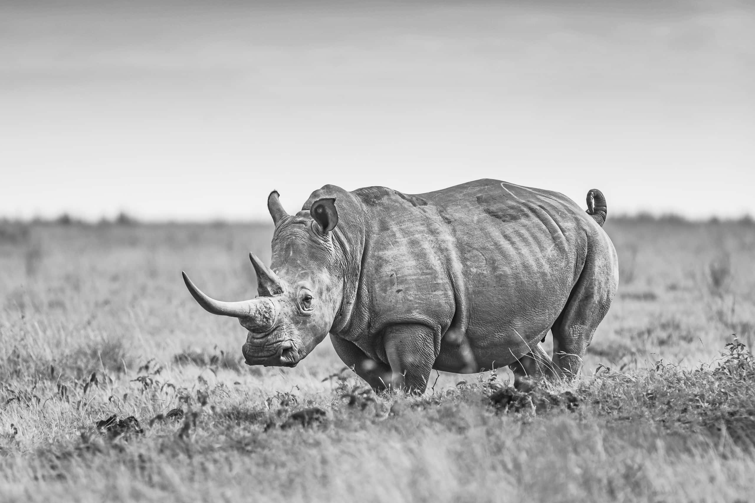 08392208082018220 ©SimonePaleari