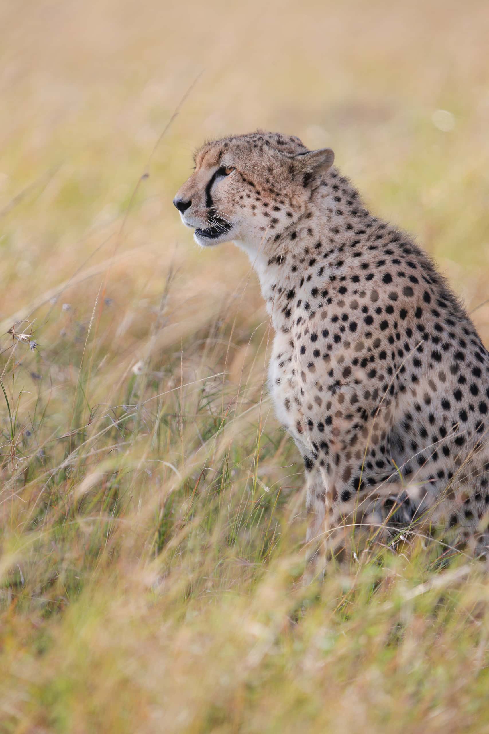 09132915082018227 ©SimonePaleari