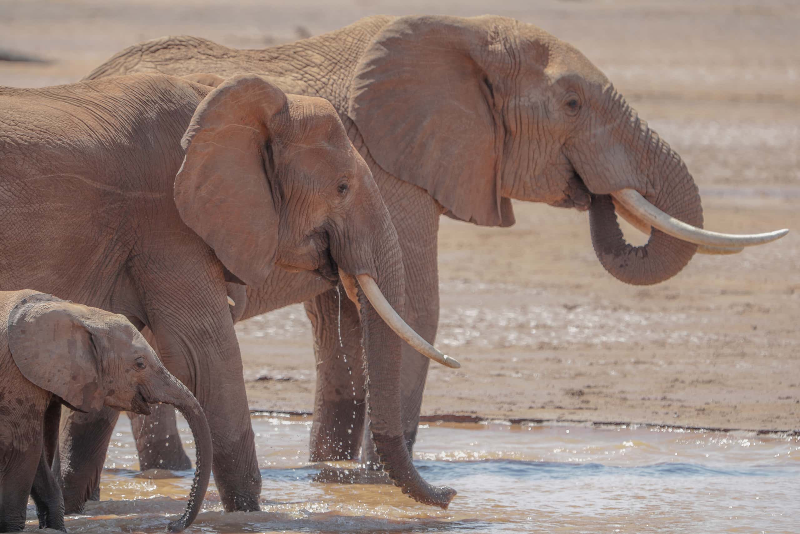 10585010082018222 ©SimonePaleari