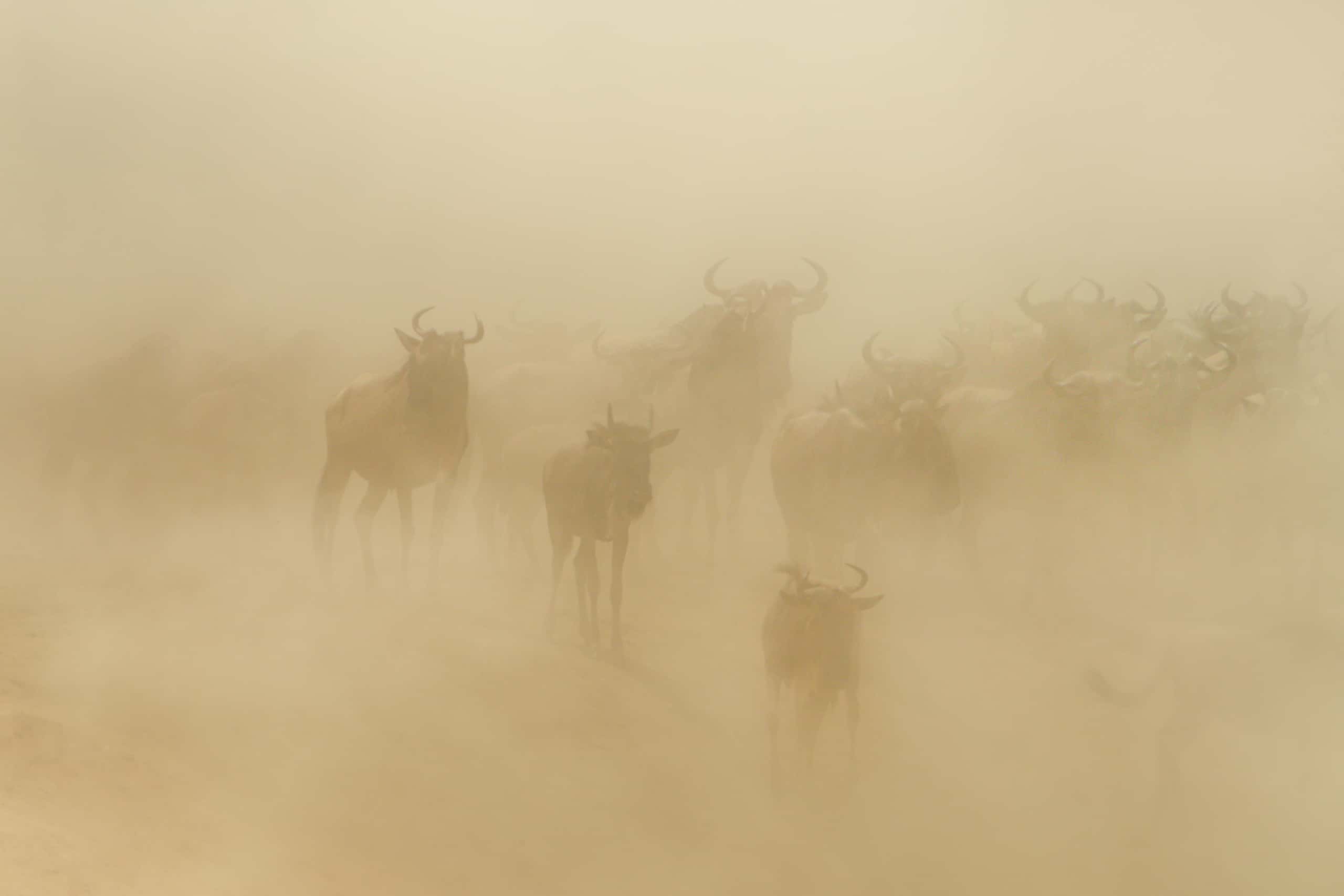 12224818082018230 ©SimonePaleari