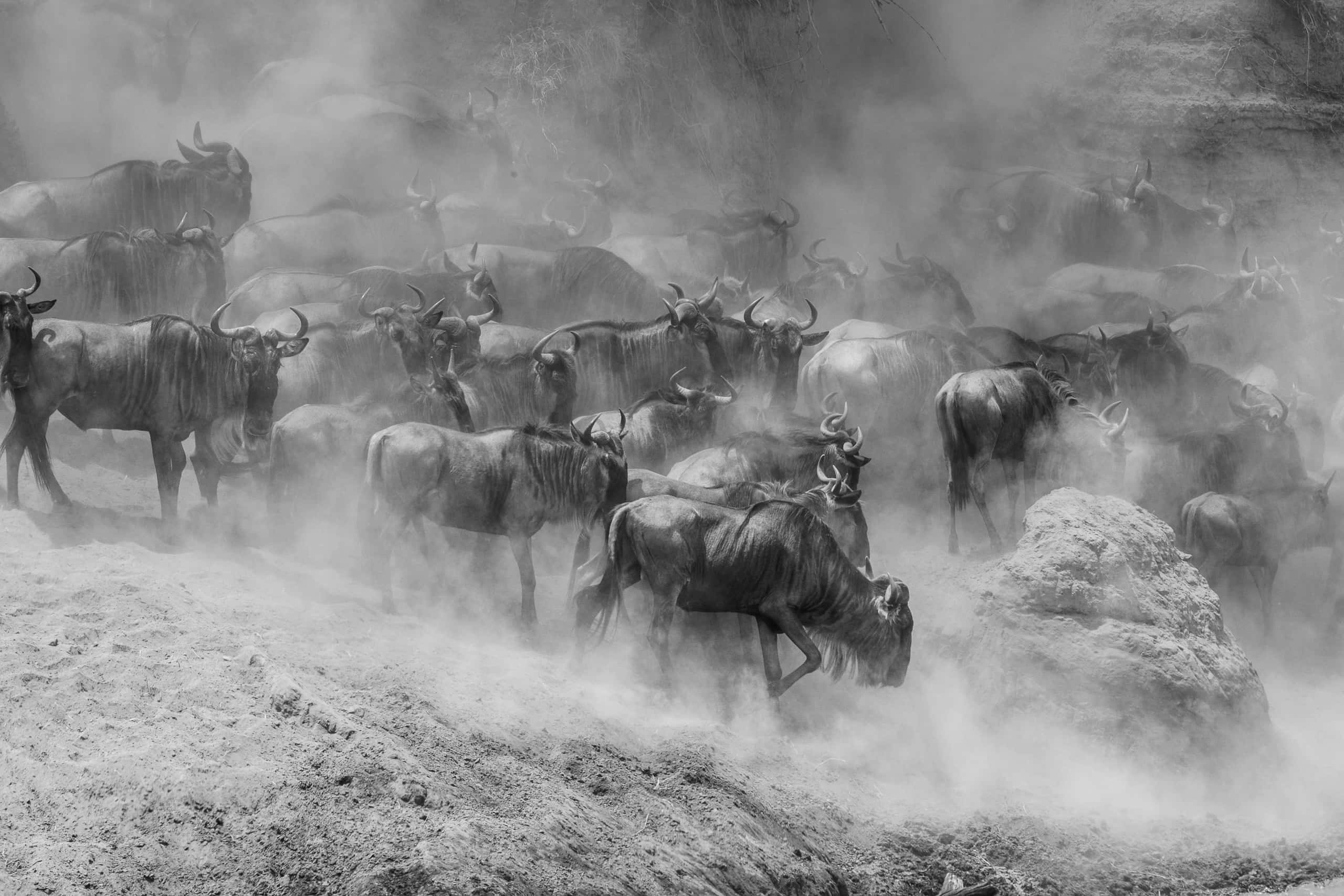 12244118082018230 ©SimonePaleari