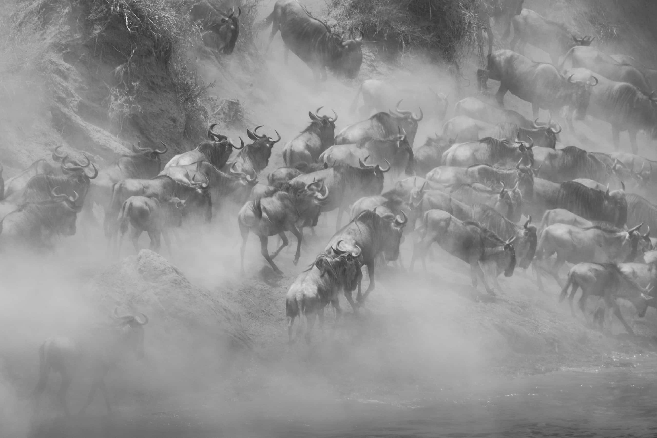 12245118082018230 ©SimonePaleari