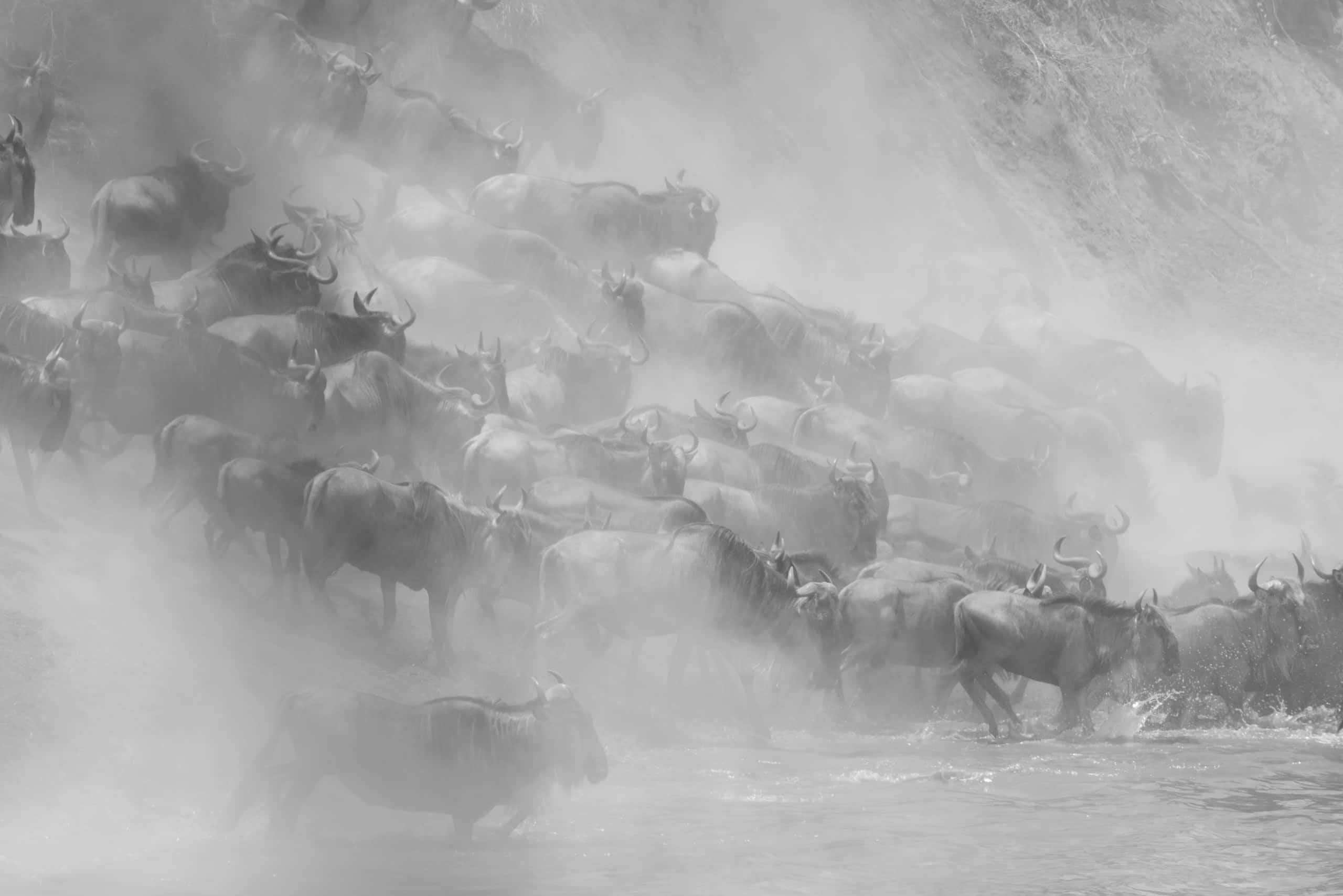 12245518082018230 ©SimonePaleari