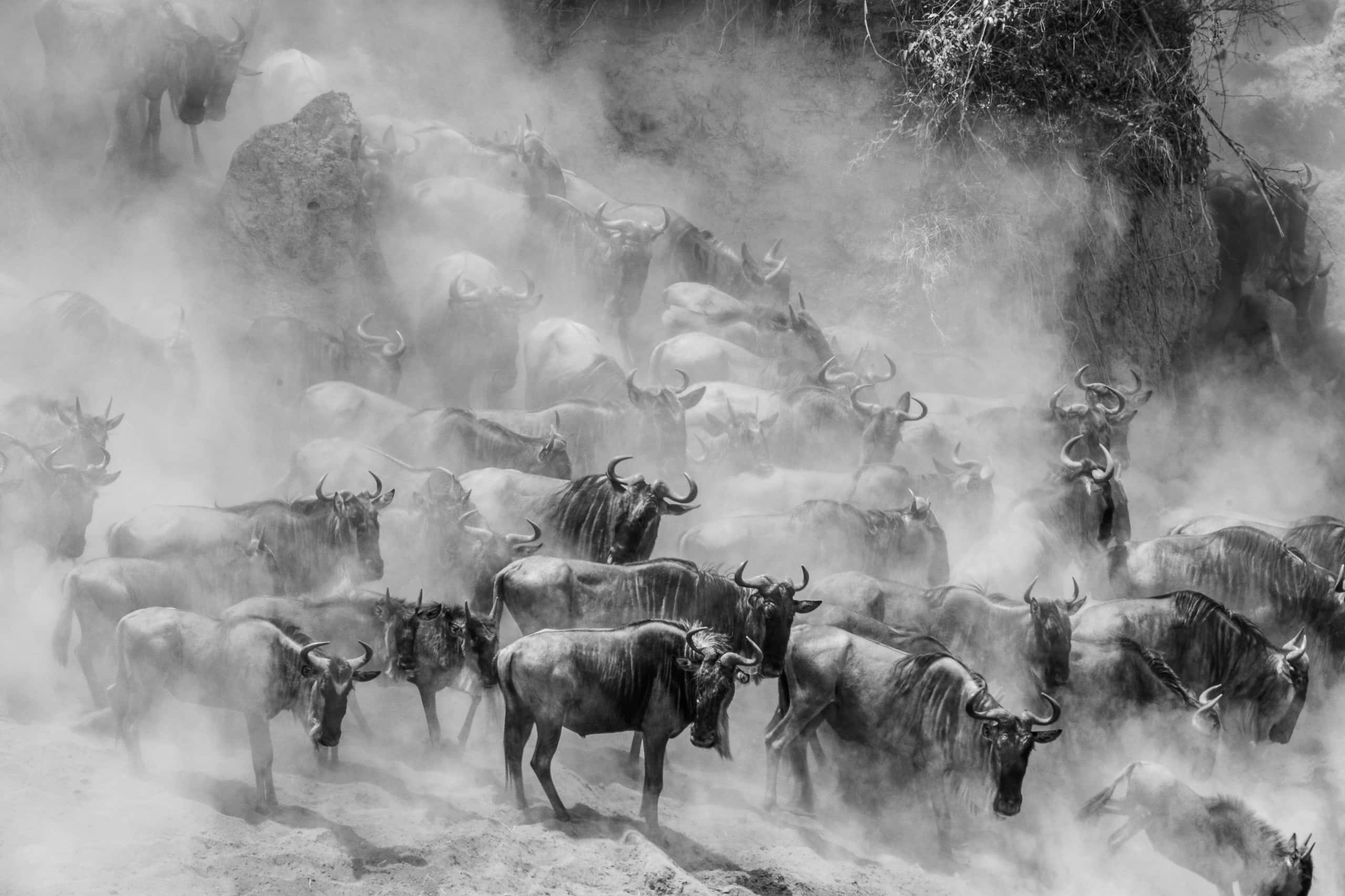 12251418082018230 ©SimonePaleari