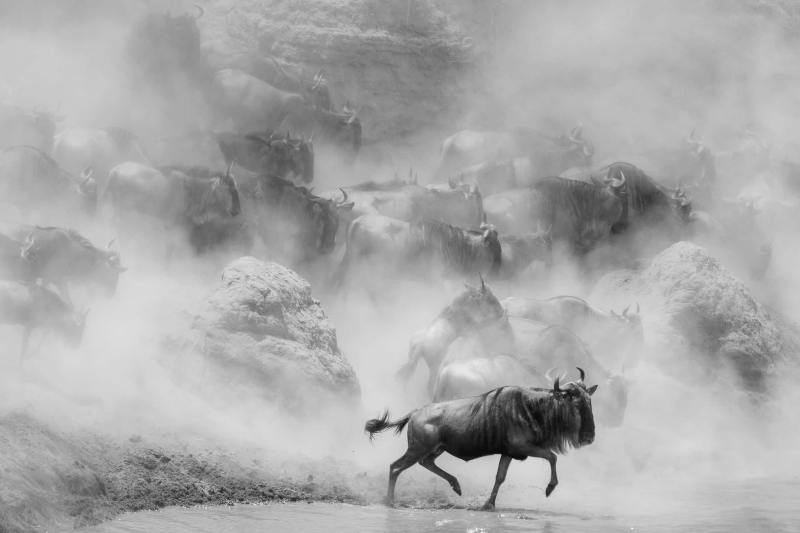 12253218082018230 ©SimonePaleari