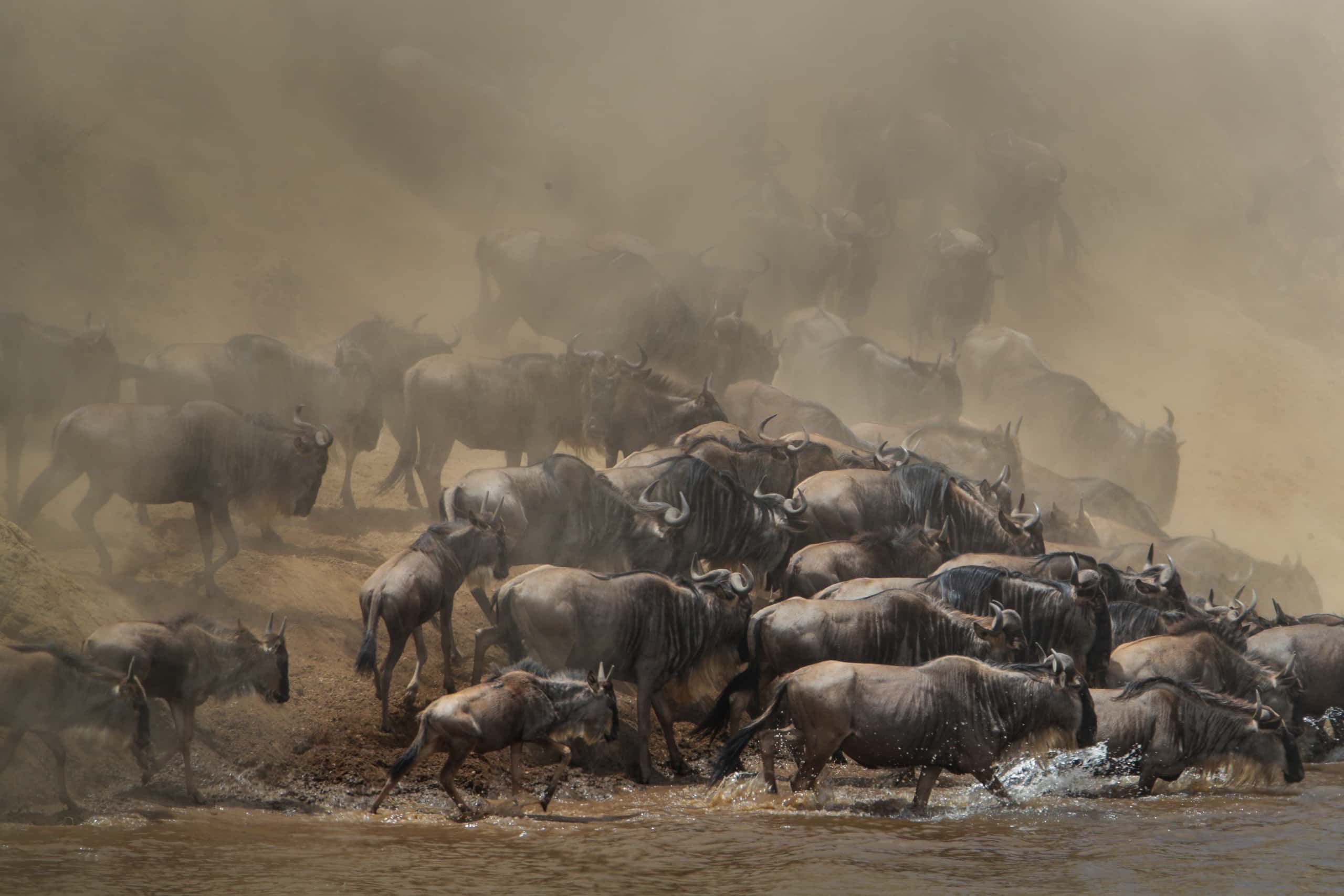 12264918082018230 ©SimonePaleari