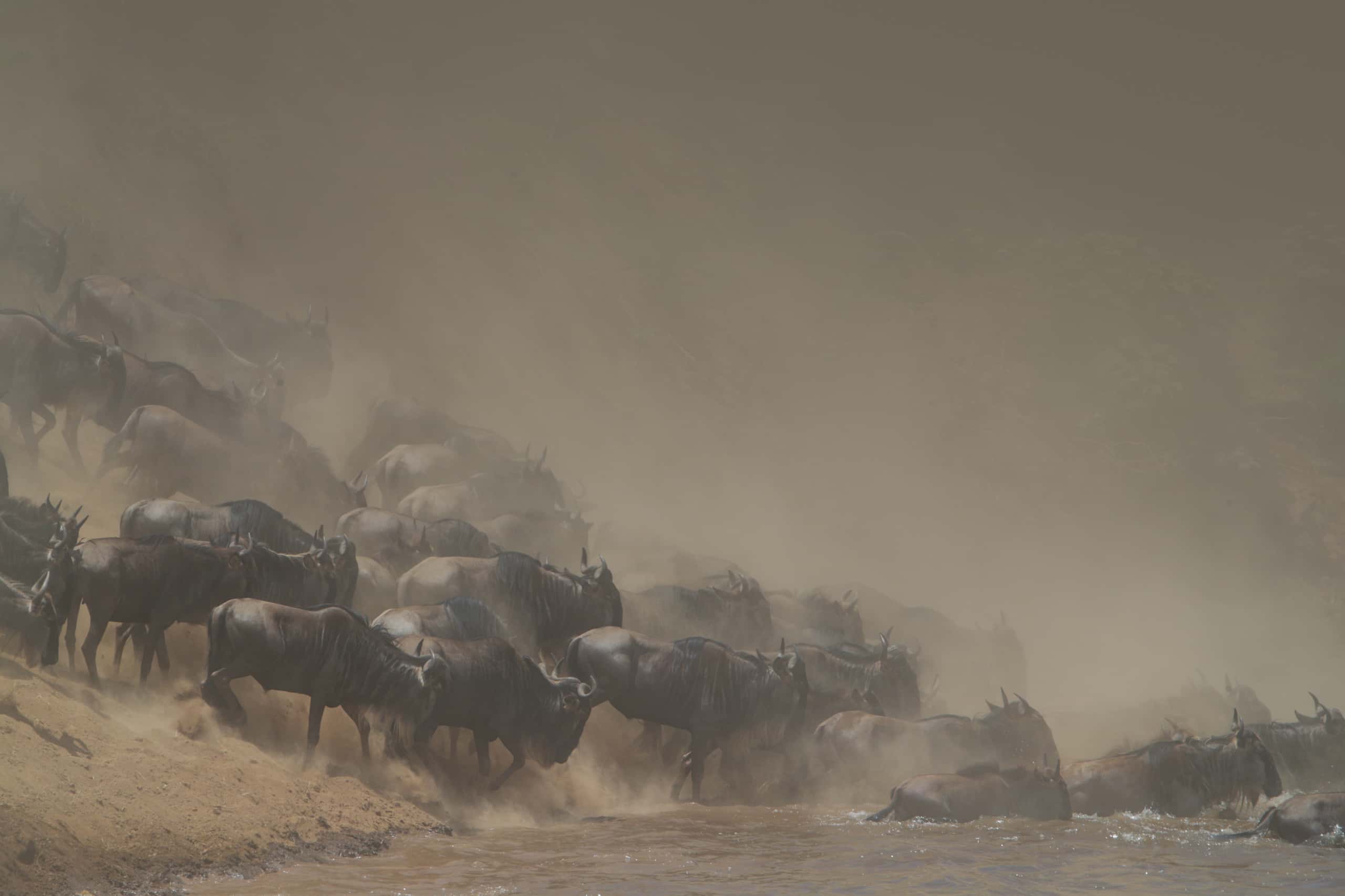 12274618082018230 ©SimonePaleari