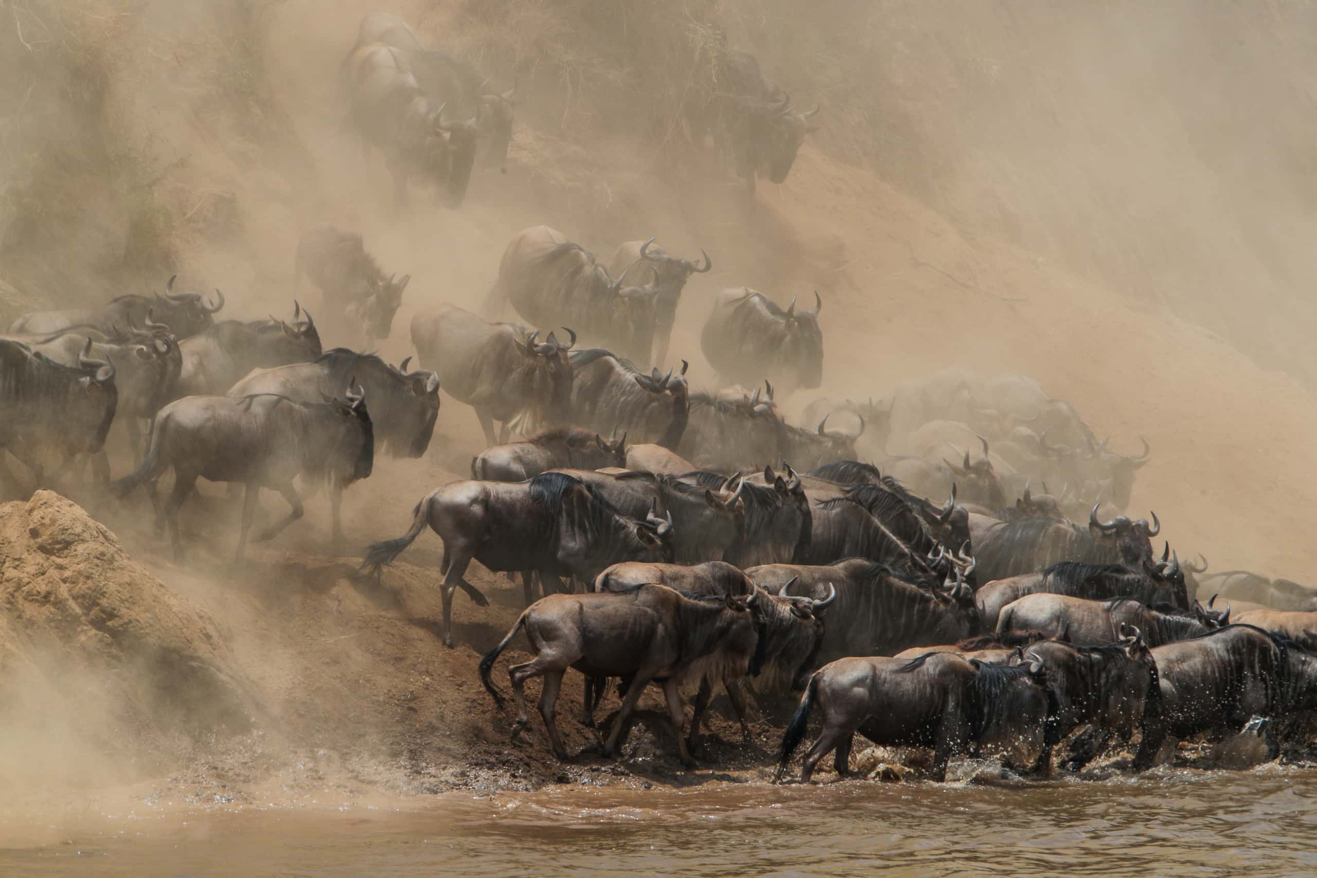 12284718082018230 ©SimonePaleari